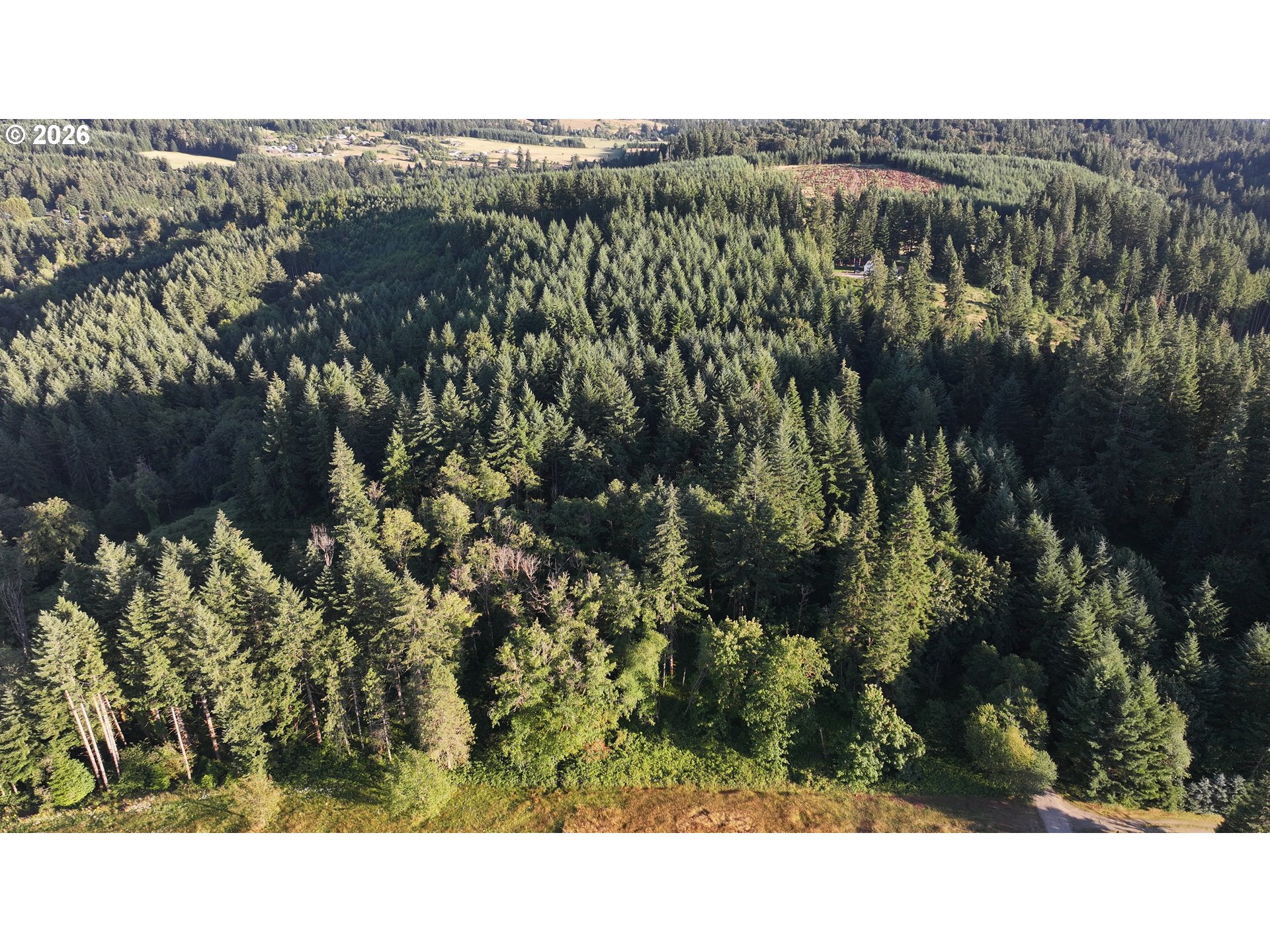 0 Finalburg Rd Property Photo 30