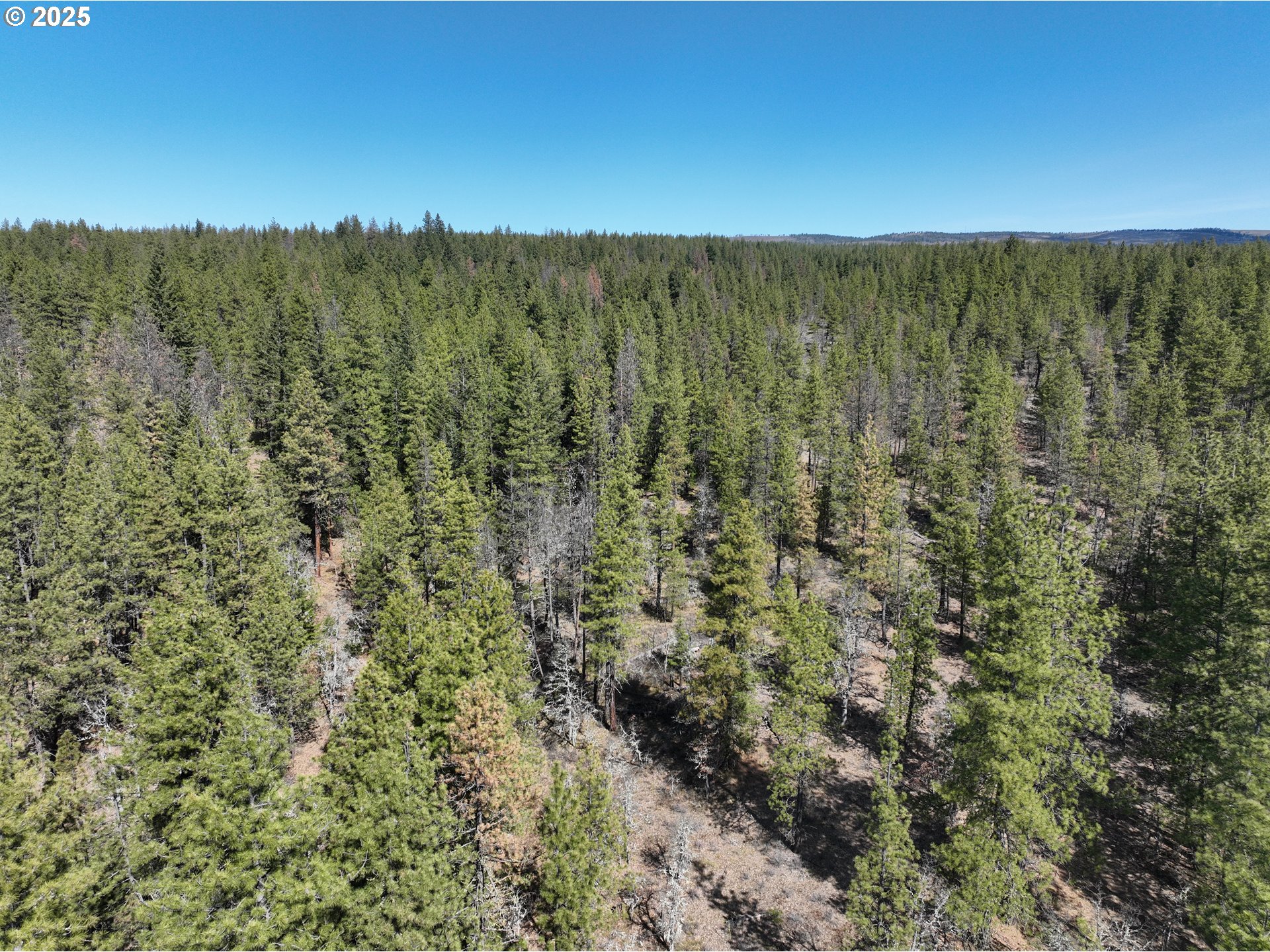 Brock Ranch Rd Property Photo 1