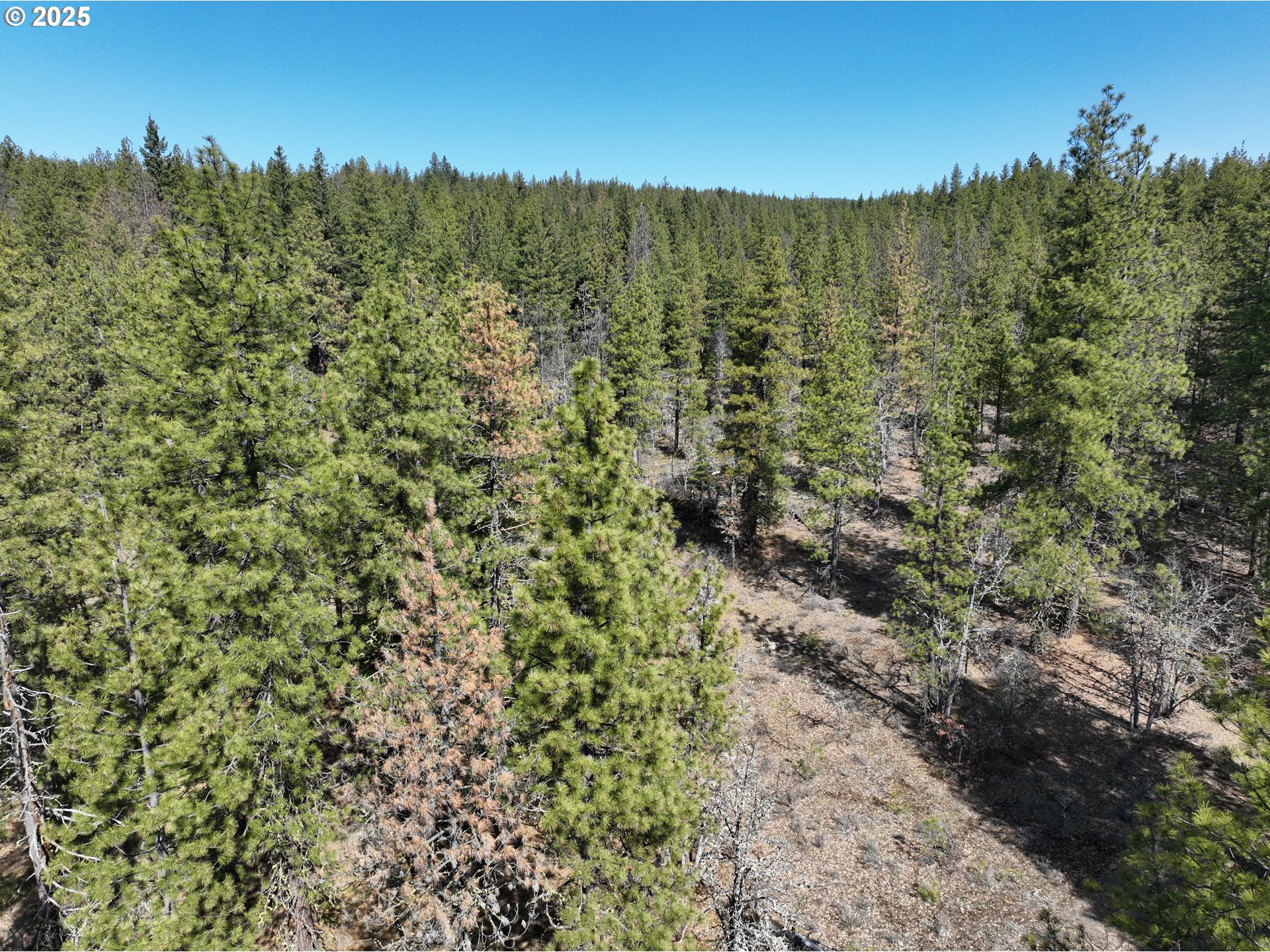 Brock Ranch Rd Property Photo 8