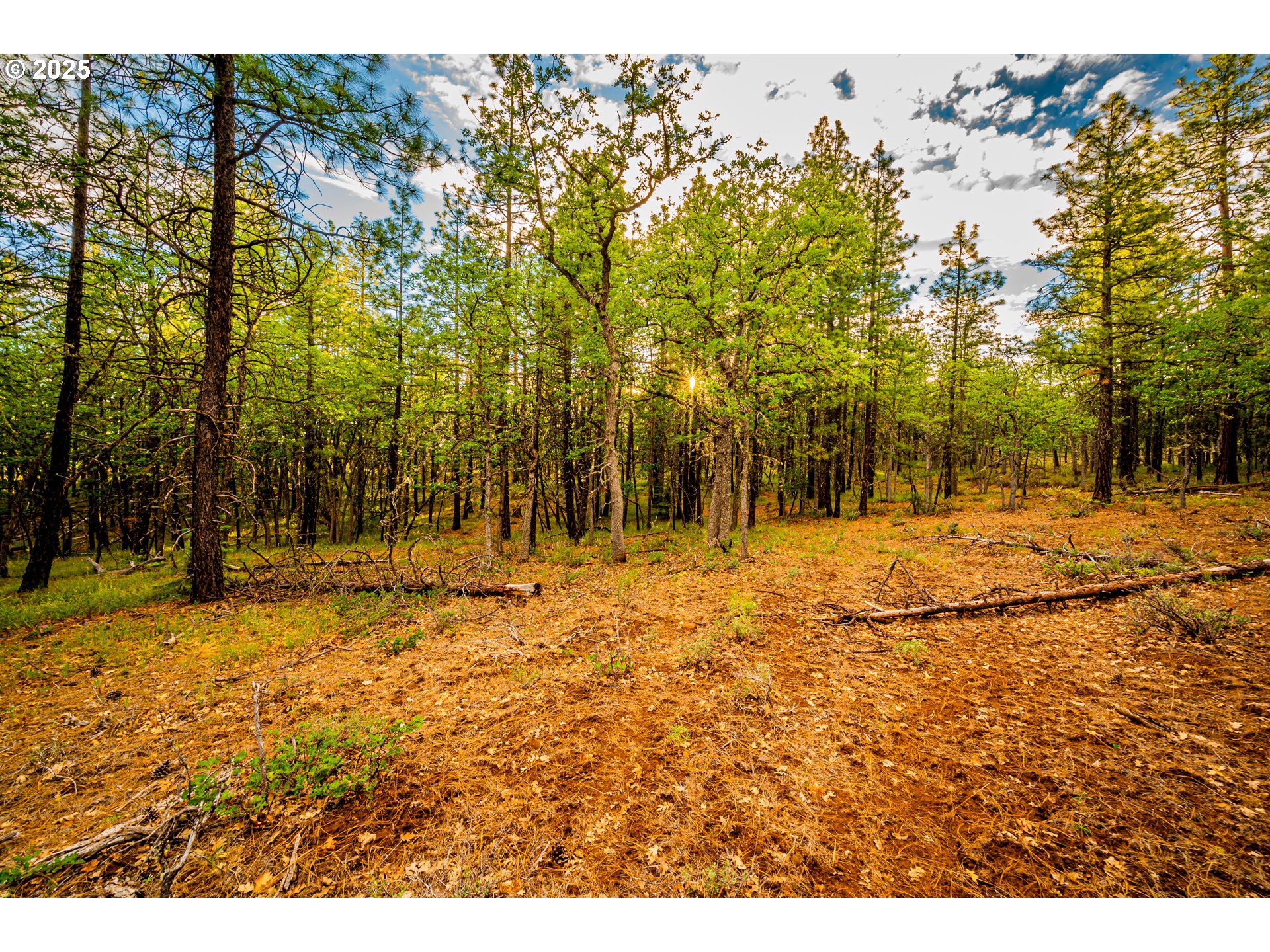 Brock Ranch Rd Property Photo 10