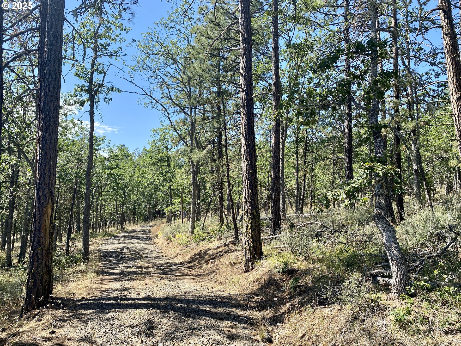 Brock Ranch Rd Property Photo 18