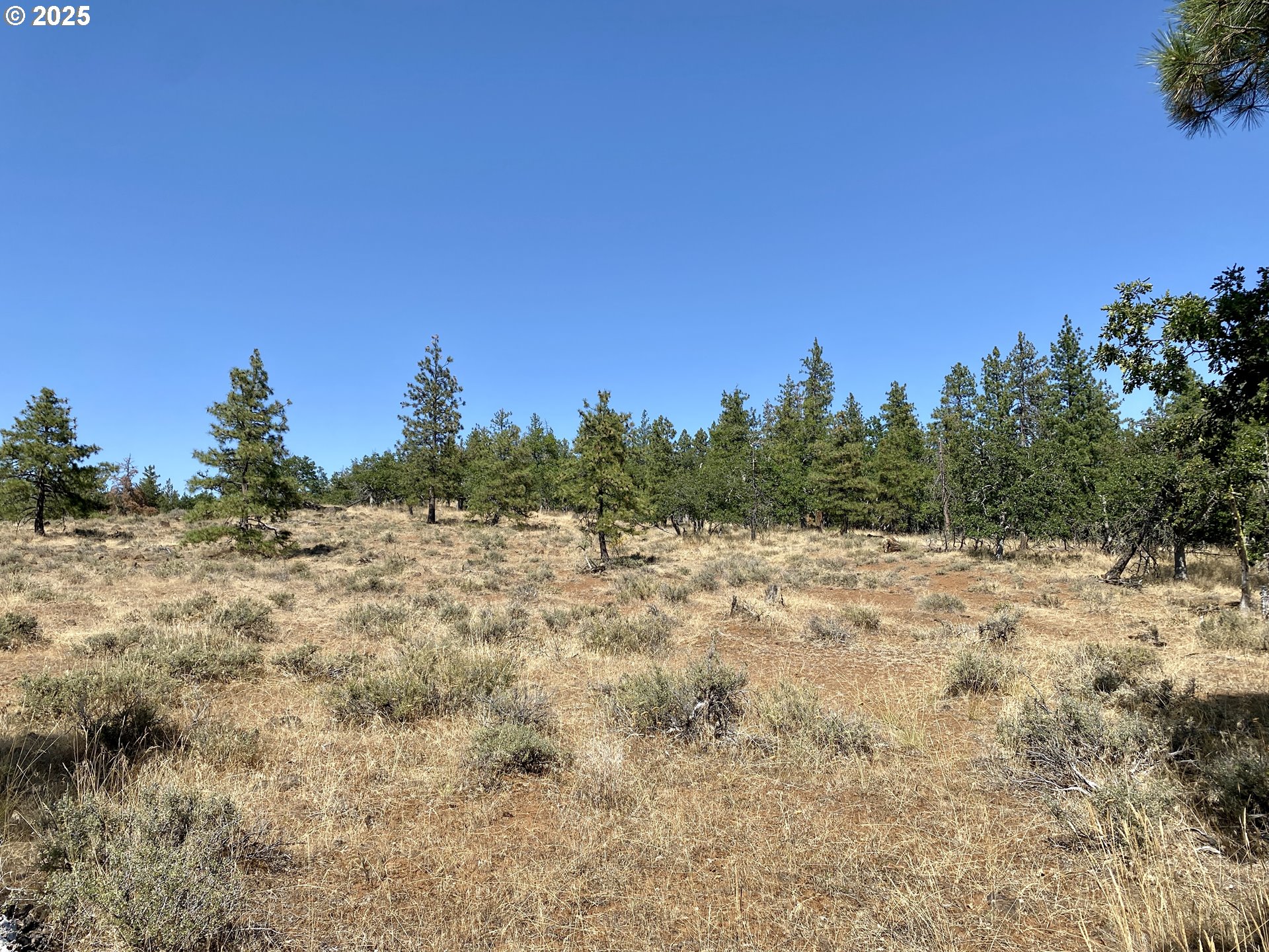 Brock Ranch Rd Property Photo 19