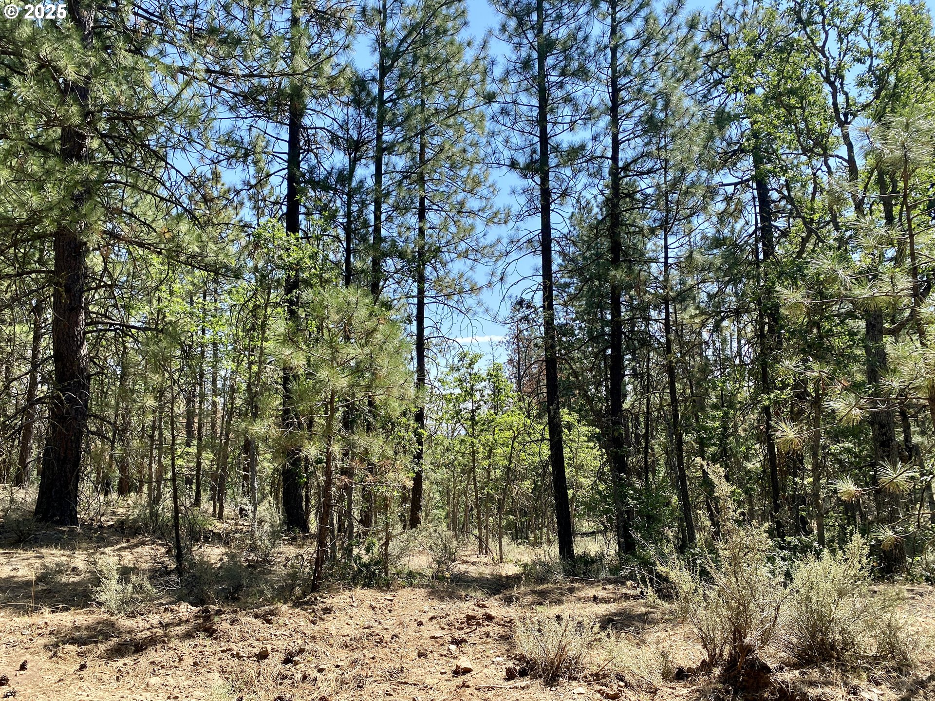 Brock Ranch Rd Property Photo 20