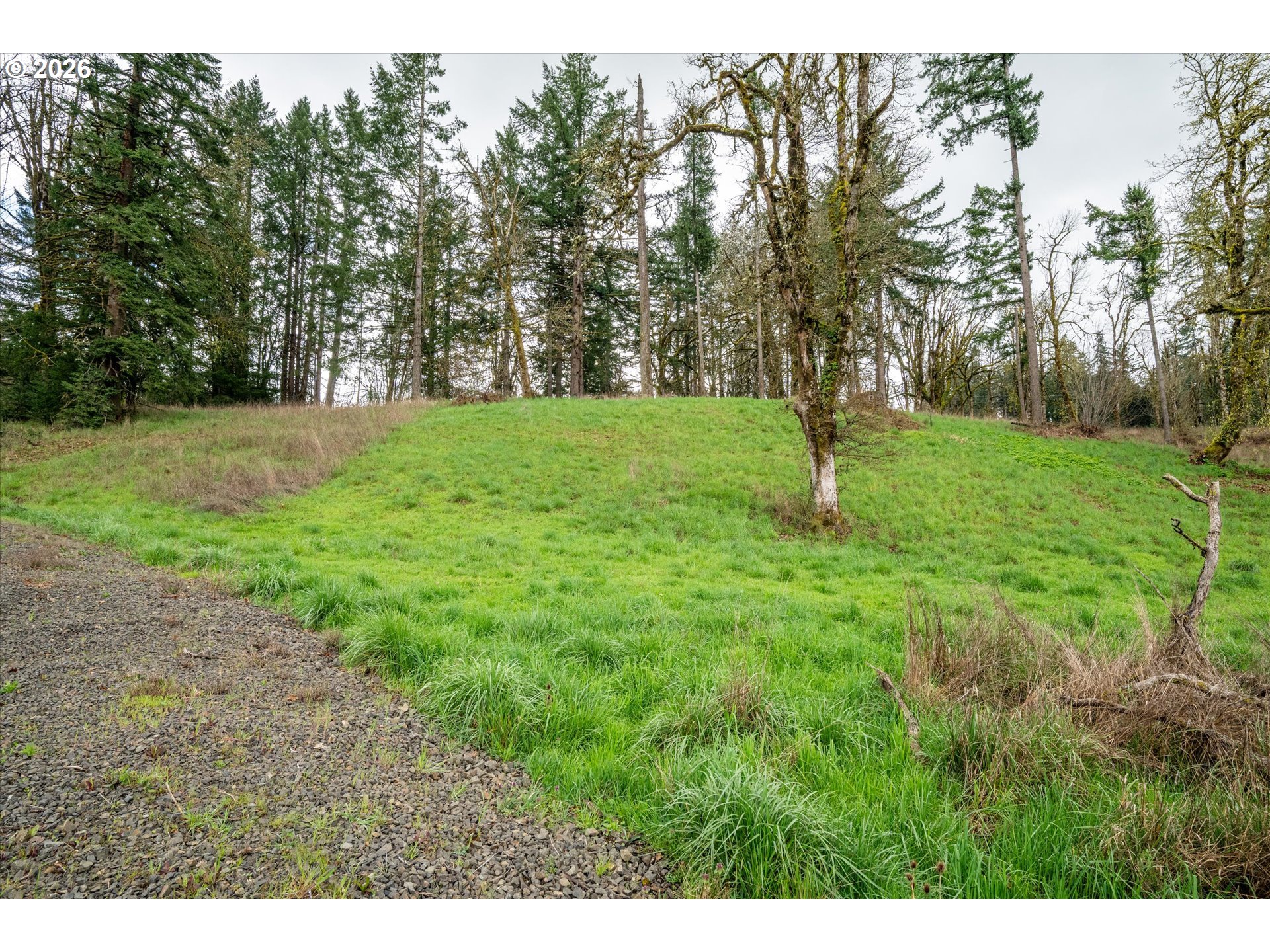 Worth Property Photo 24
