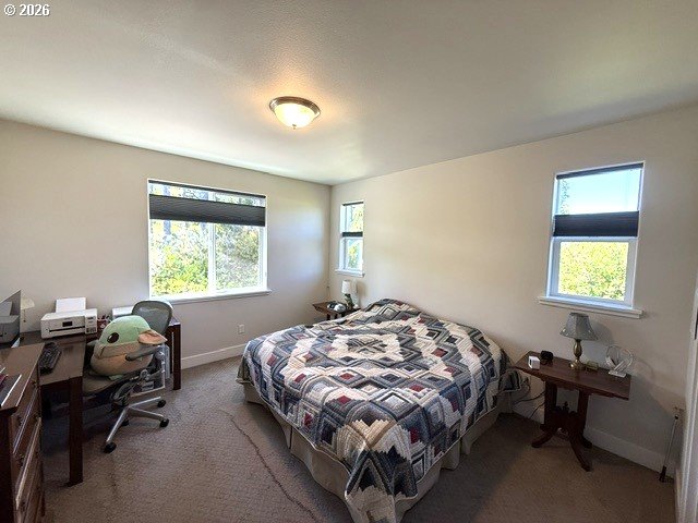 3861 Nandina Dr Property Photo 24