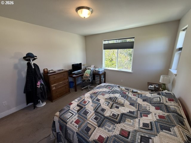 3861 Nandina Dr Property Photo 27