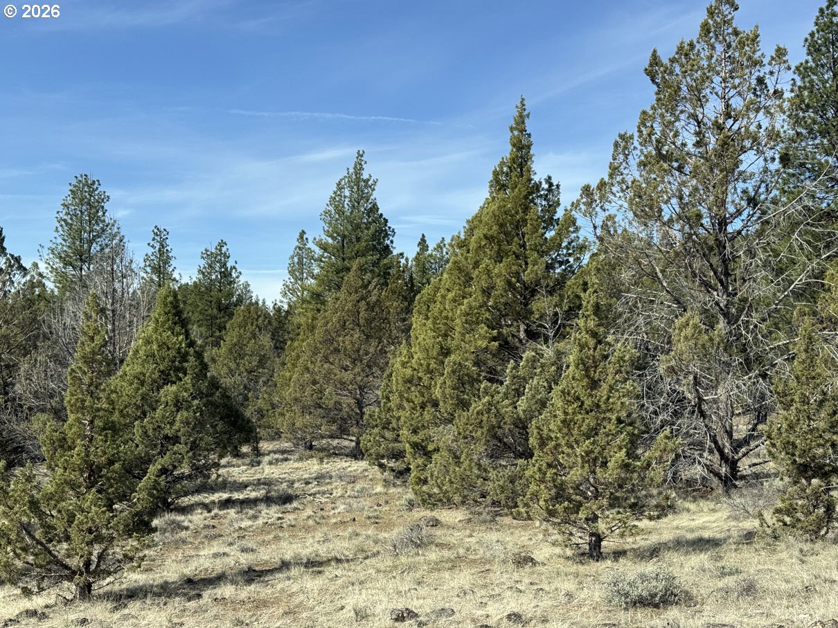 Yellow Jacket Spring Rd 1100 Property Photo 29
