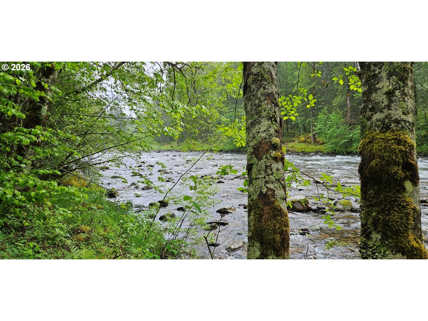 63956 E BARLOW TRAIL RD Property Photo 1
