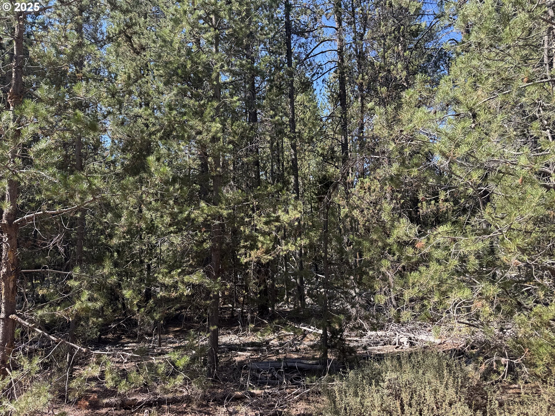 Cloudcap Drive 6 Property Photo 16