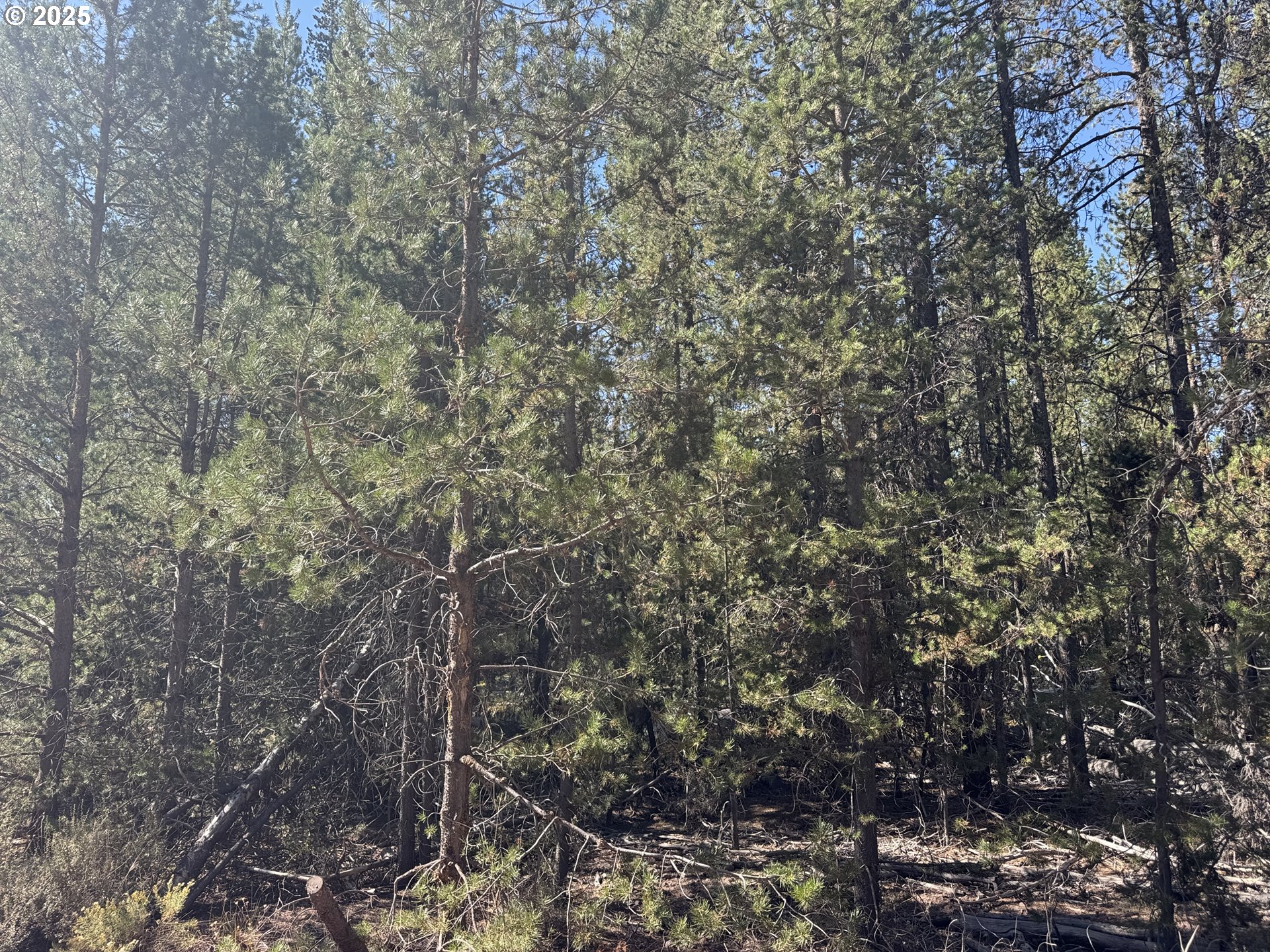 Cloudcap Drive 6 Property Photo 17