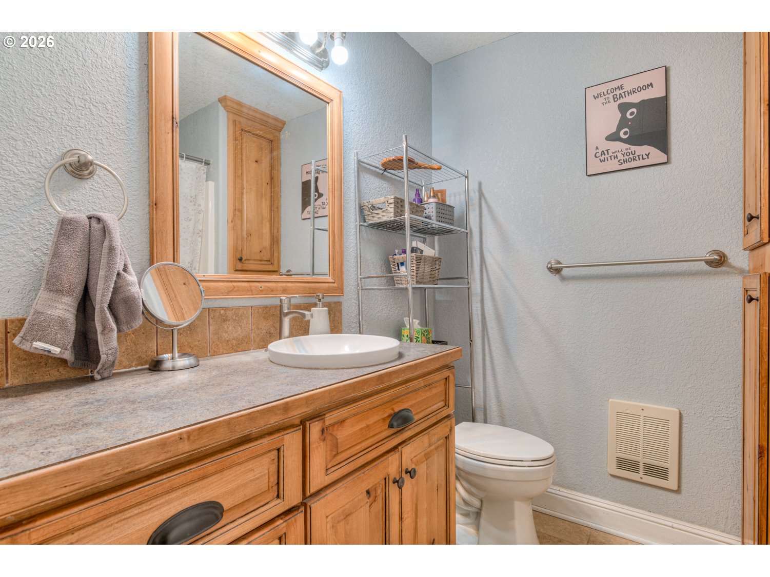16116 Mountain Goat Ln Property Photo 22