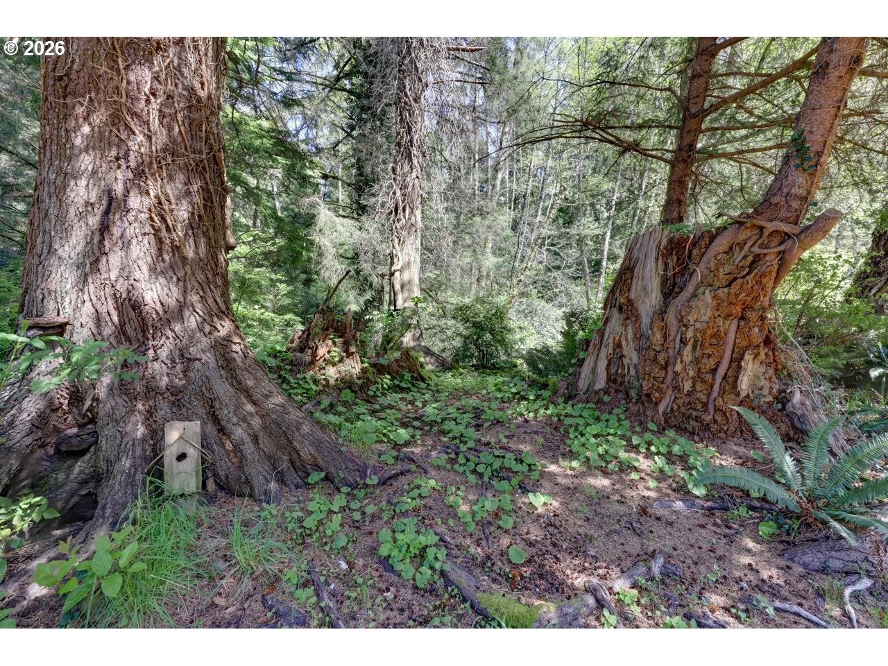 9320 Nehalem Rd Property Photo 39