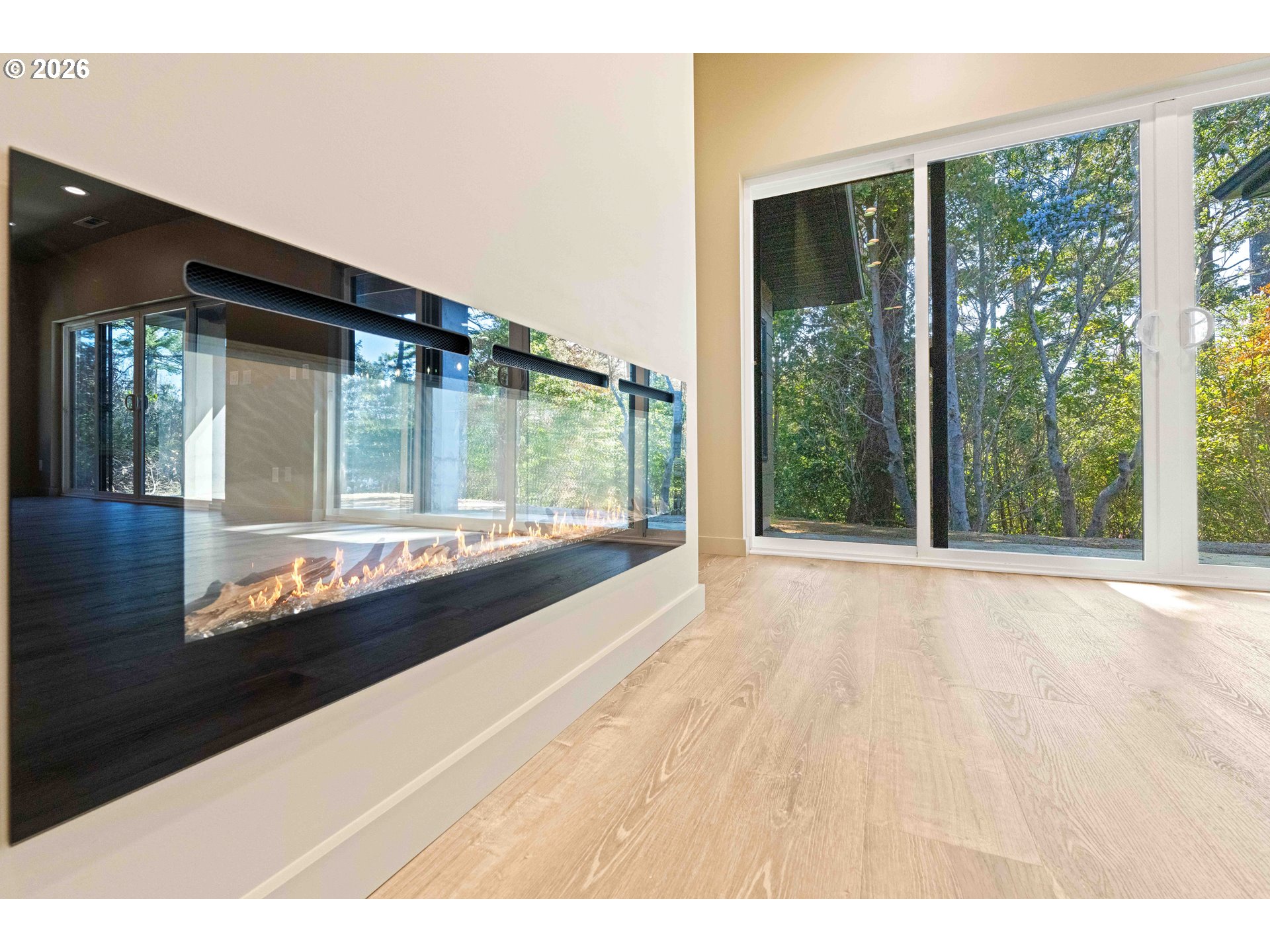 1103 Talus Way Property Photo 11