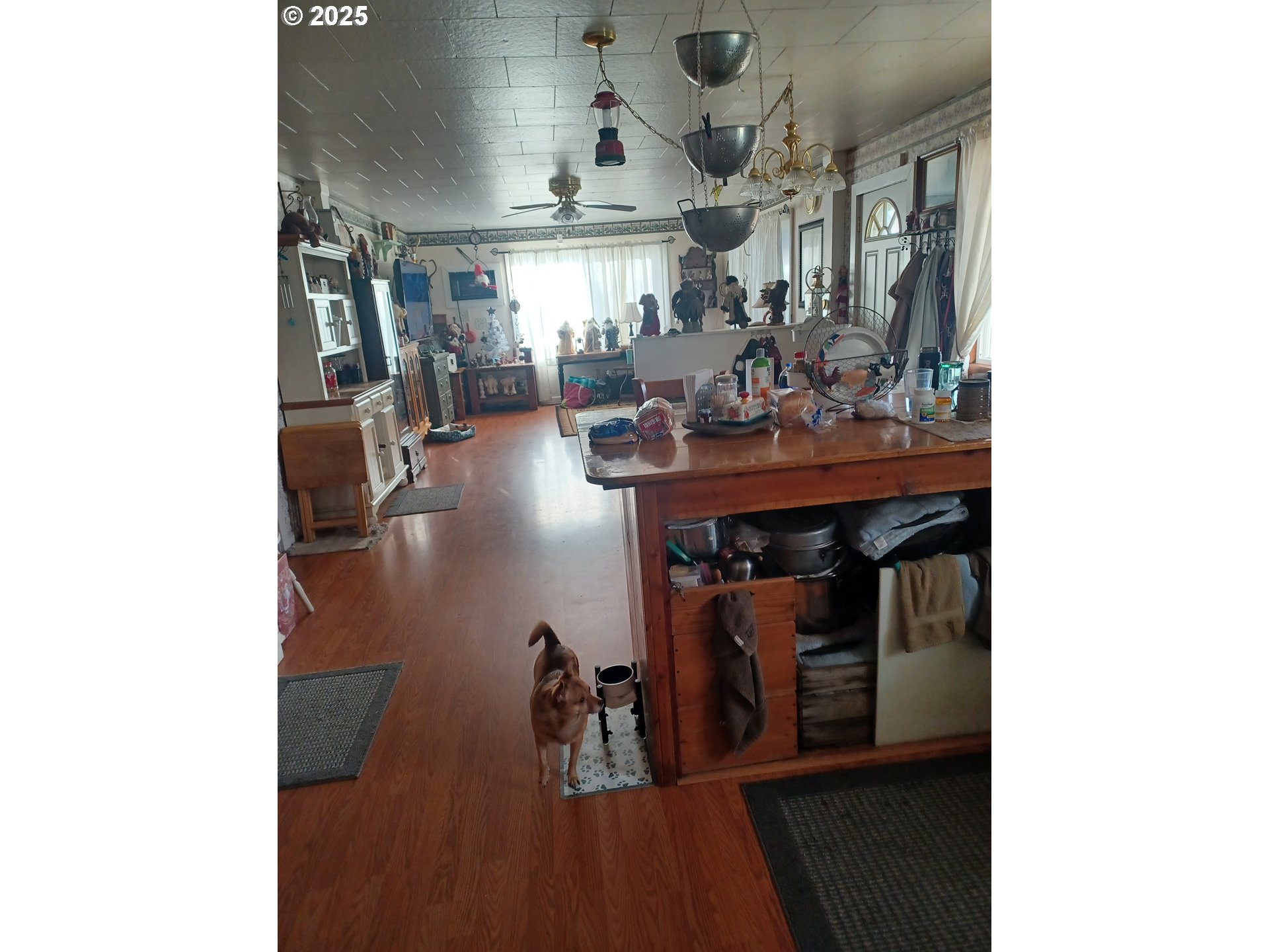 527 S Dewey St Property Photo 14