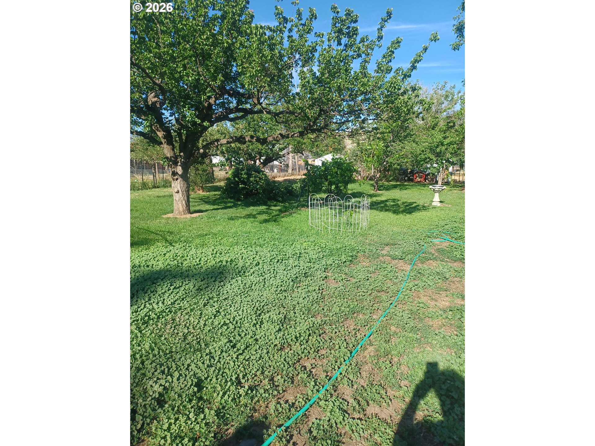 527 S Dewey St Property Photo 19