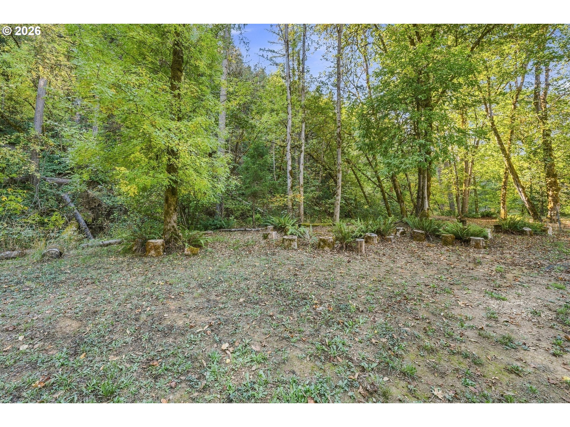 451 Woodruff Mountain Rd Property Photo 36