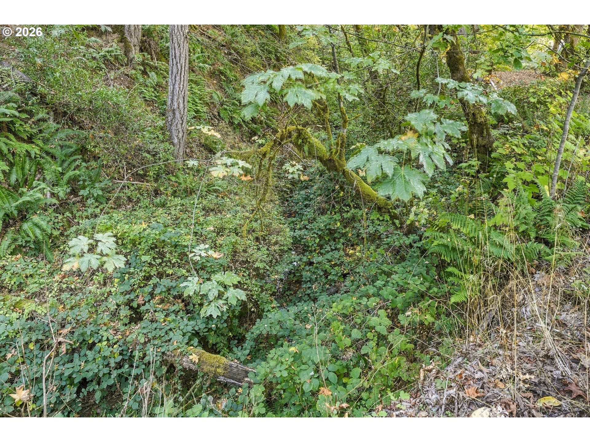 451 Woodruff Mountain Rd Property Photo 37