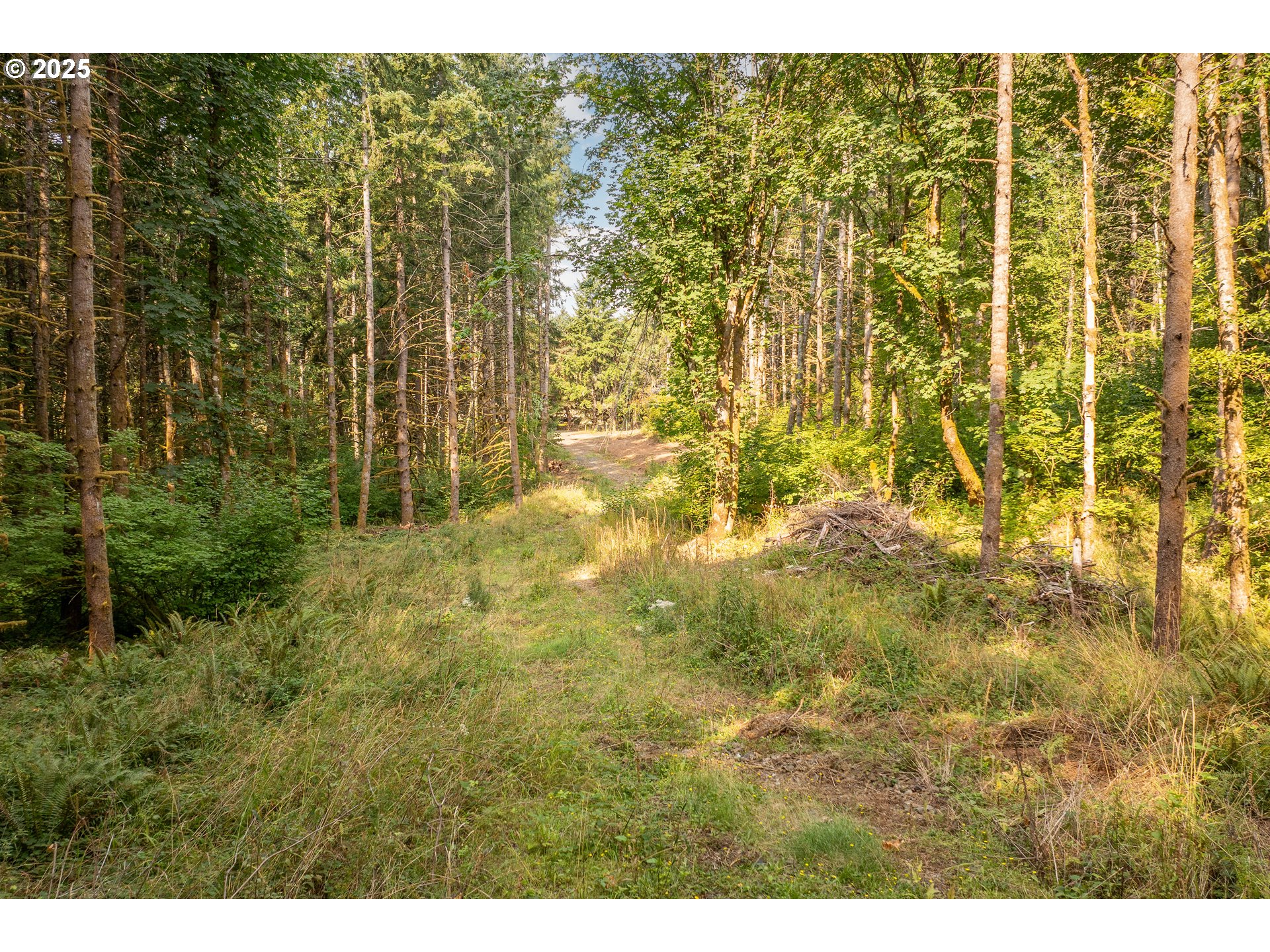 11975 Se Zion Hill Dr Property Photo 1