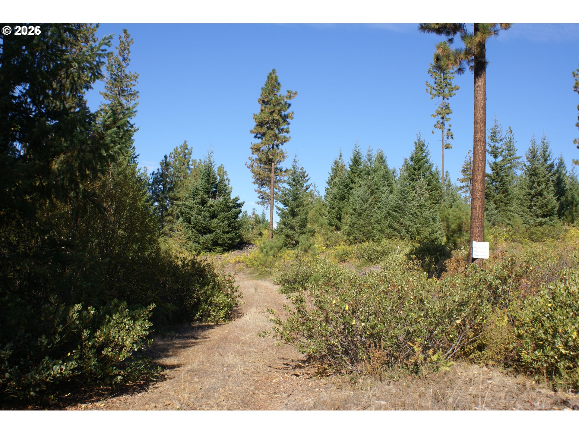 1027 Cedar Valley Rd Property Photo 3