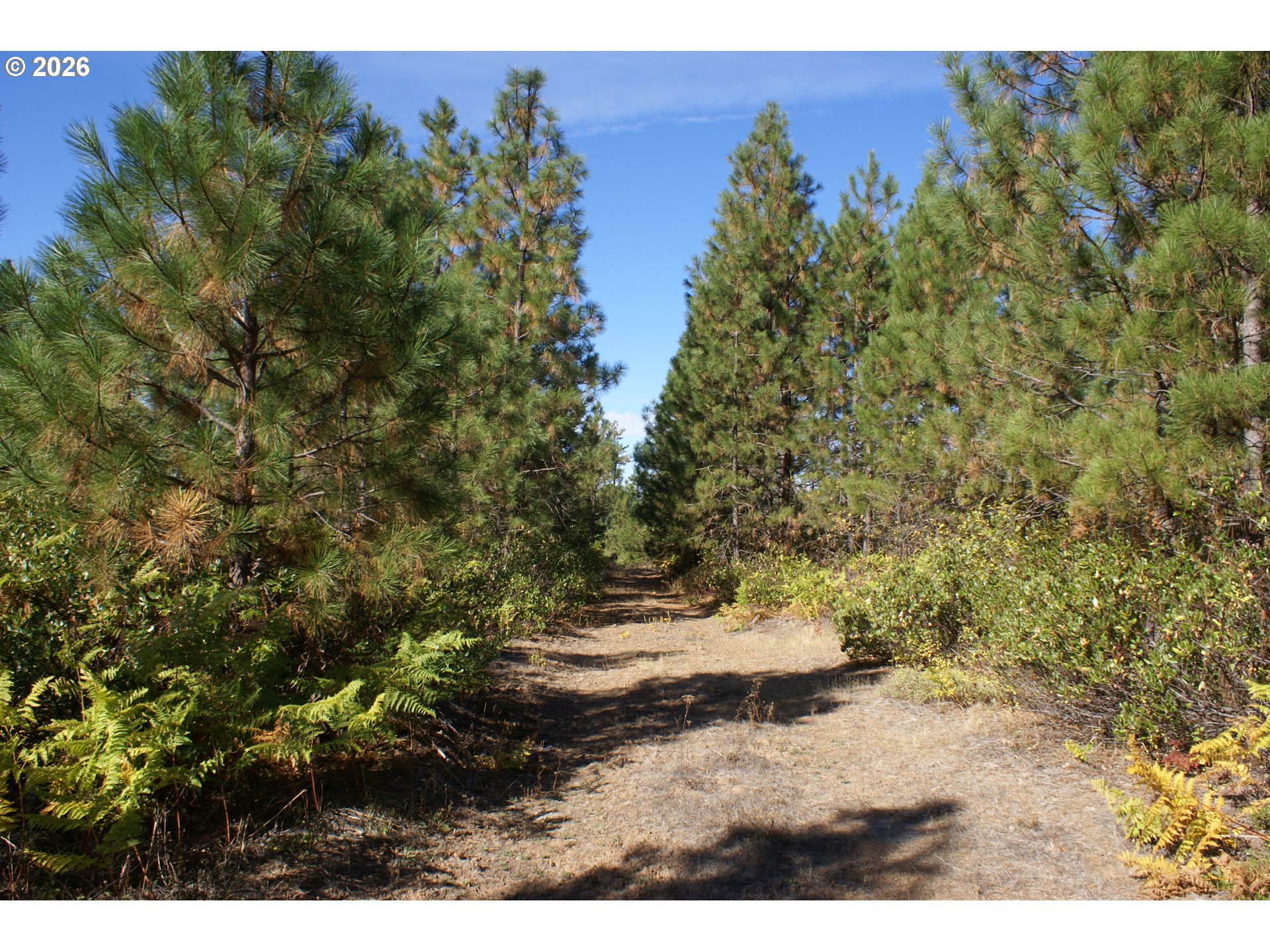 1027 Cedar Valley Rd Property Photo 8