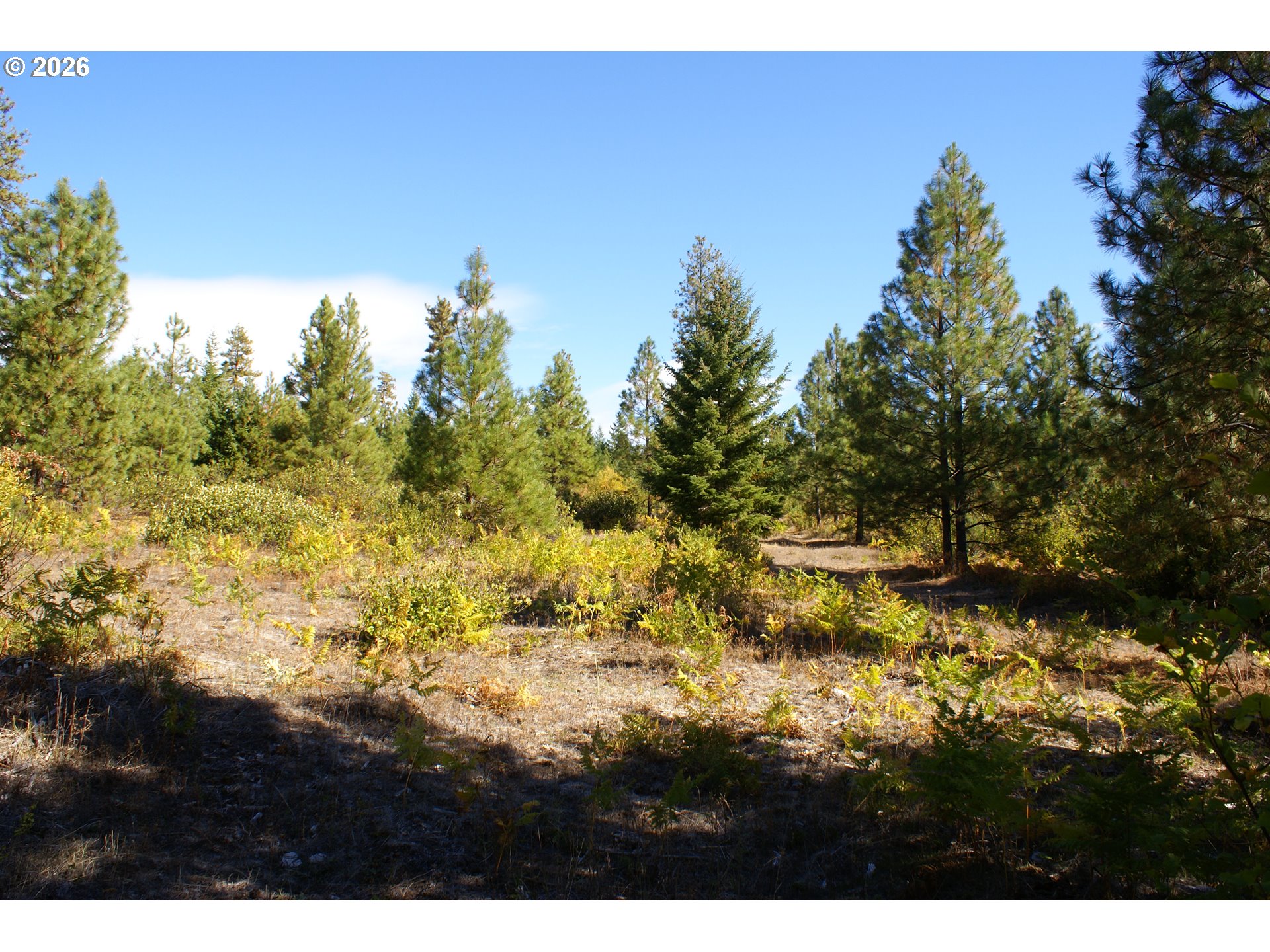 1027 Cedar Valley Rd Property Photo 13