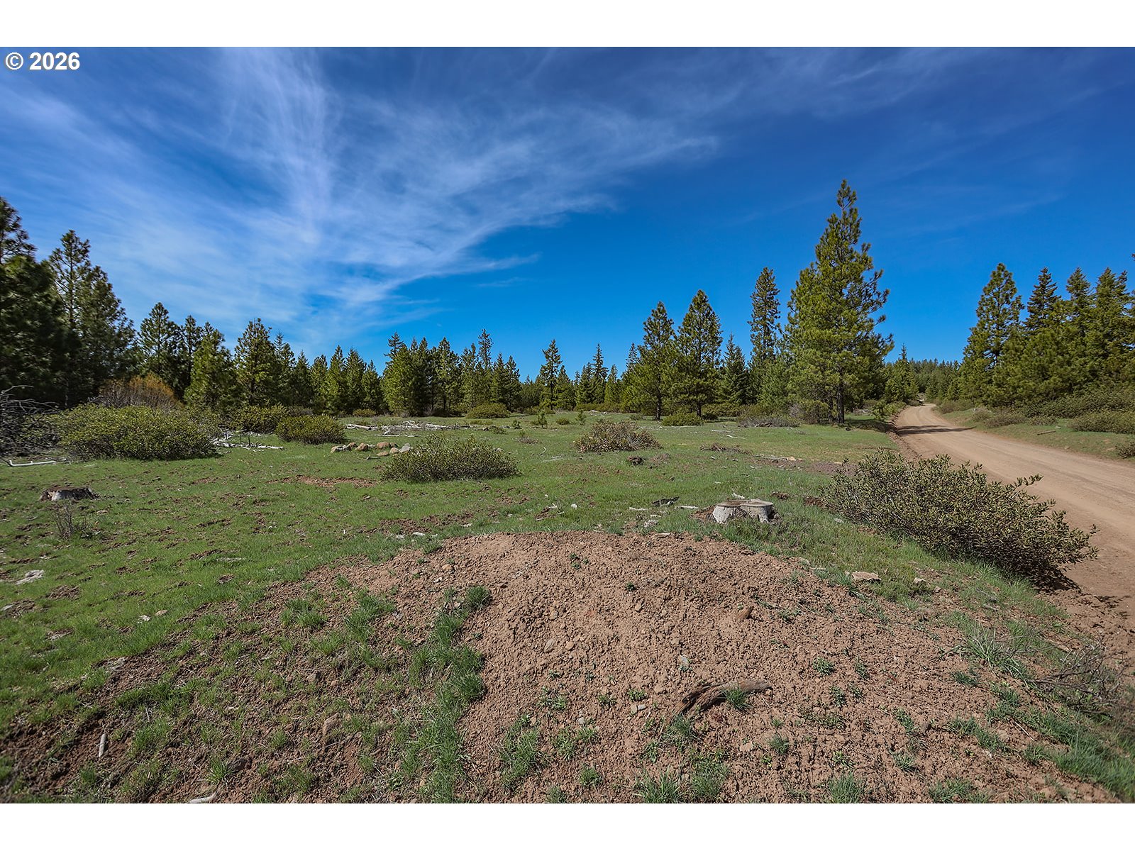 1027 Cedar Valley Rd Property Photo 18