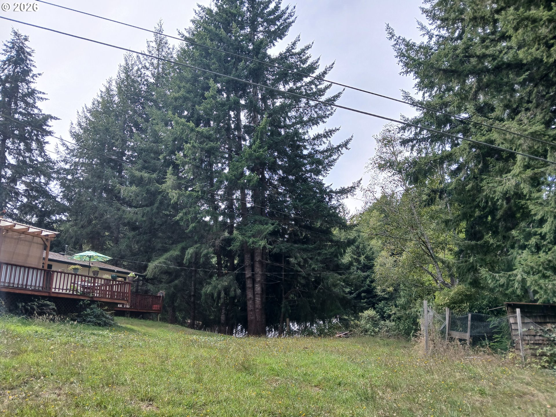 94805 Sunnyside Ln Property Photo 6
