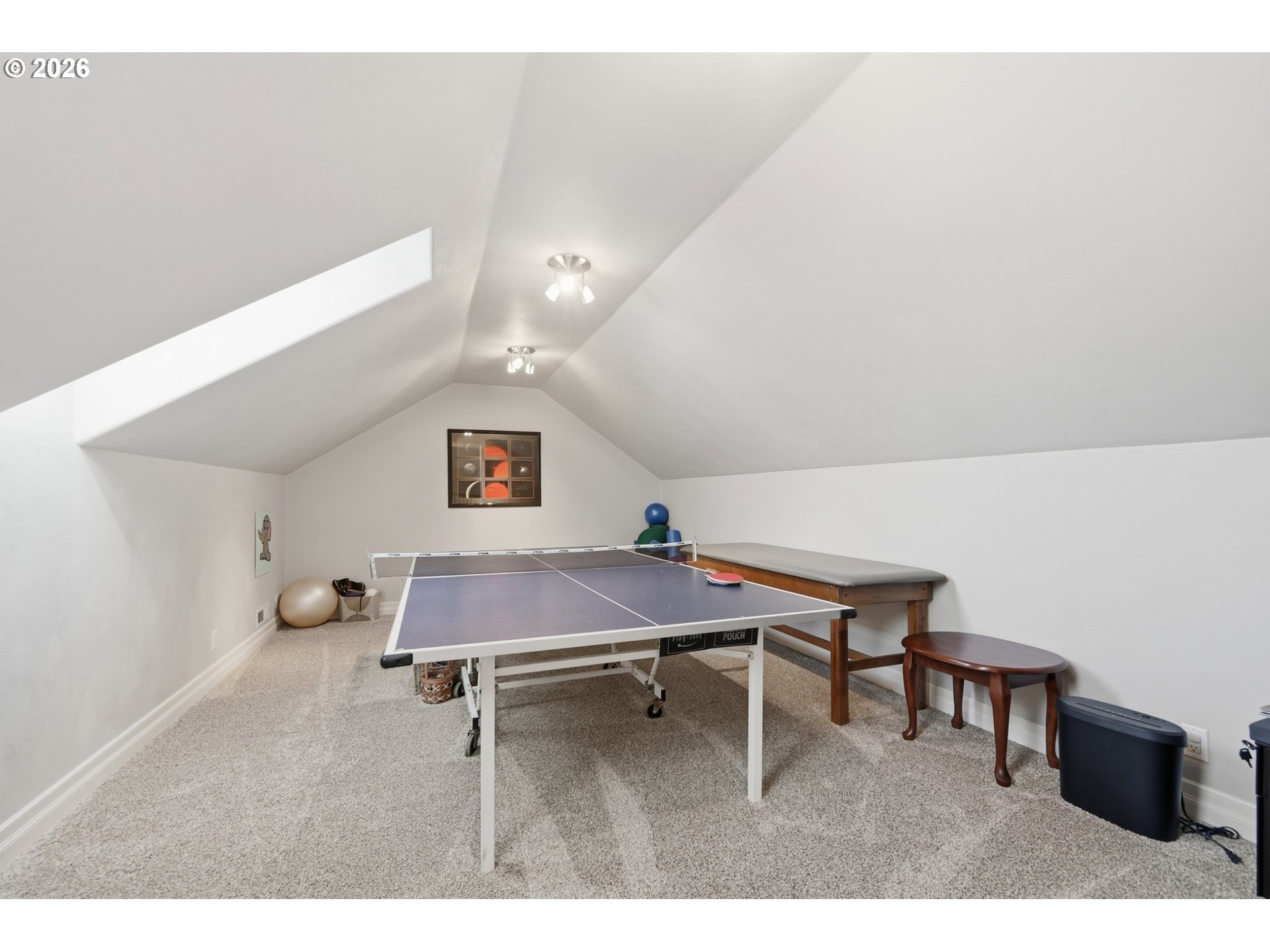 3910 Mirror Pond Way Property Photo 31