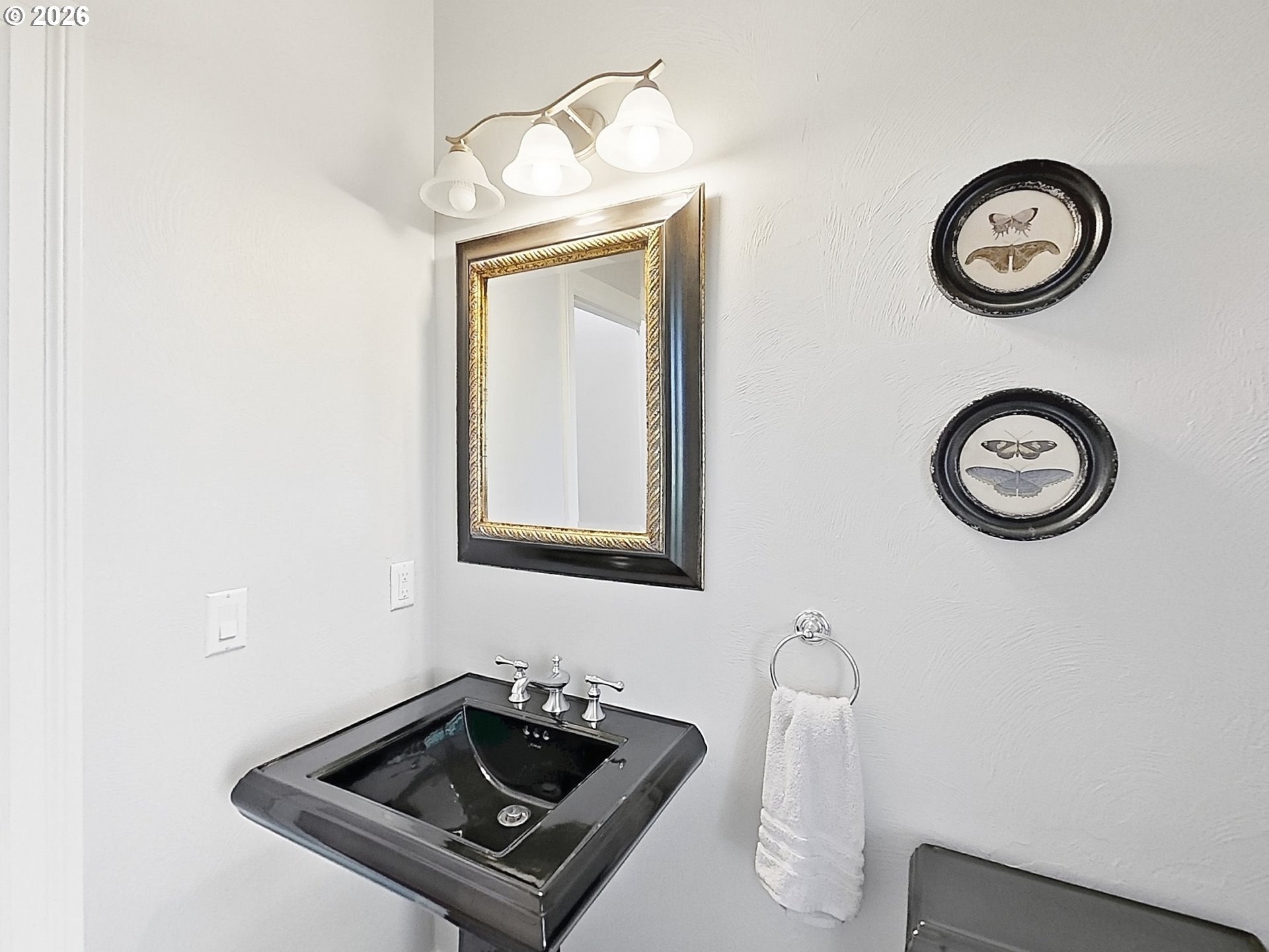 3910 Mirror Pond Way Property Photo 39