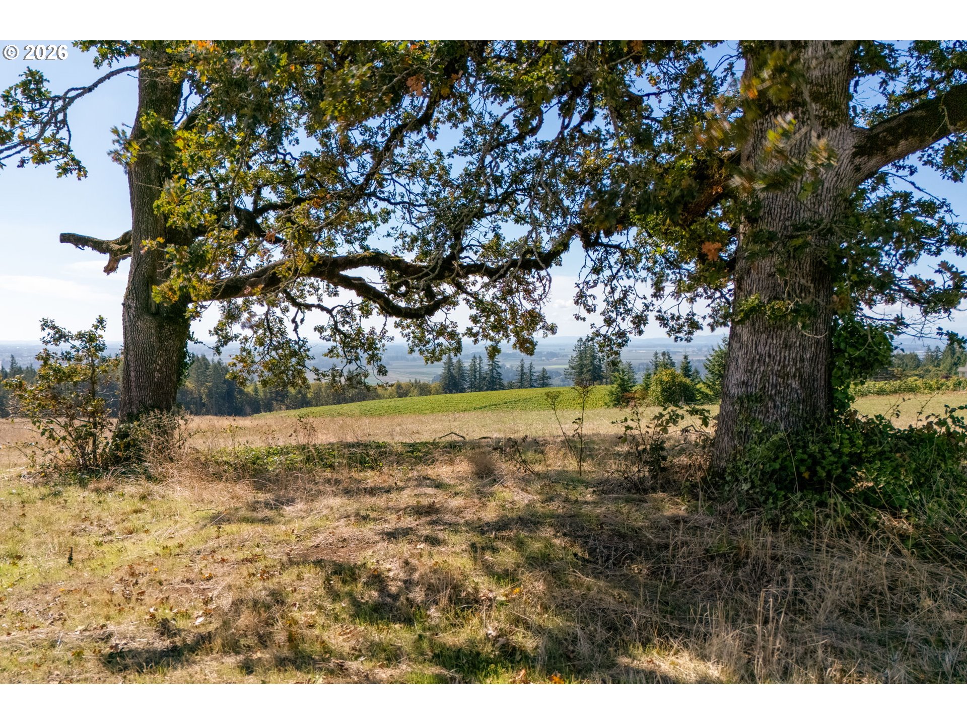 Ne Kramien Property Photo 5