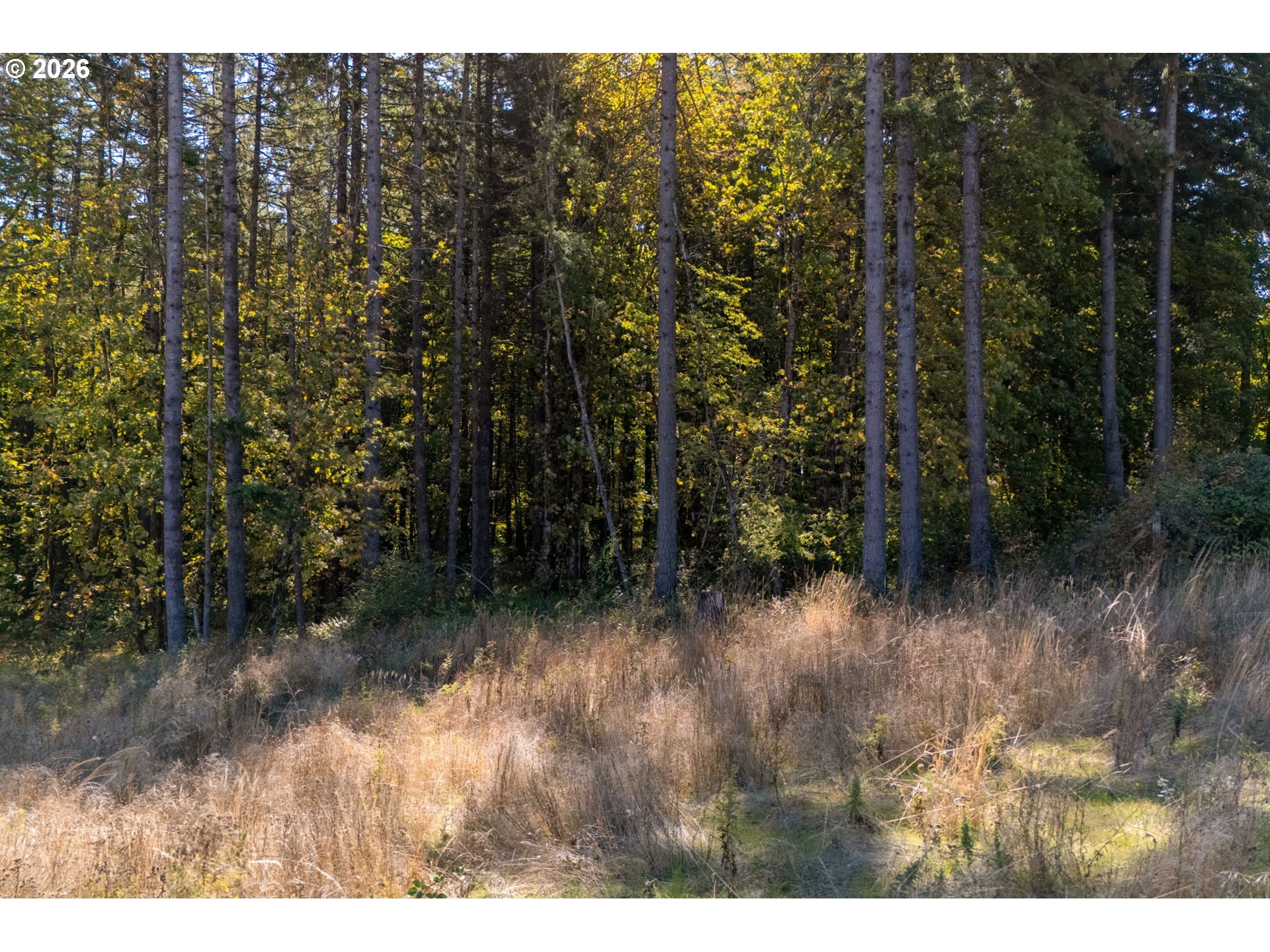 Ne Kramien Property Photo 13