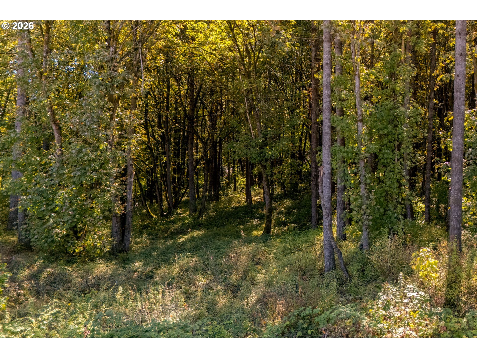 Ne Kramien Property Photo 15