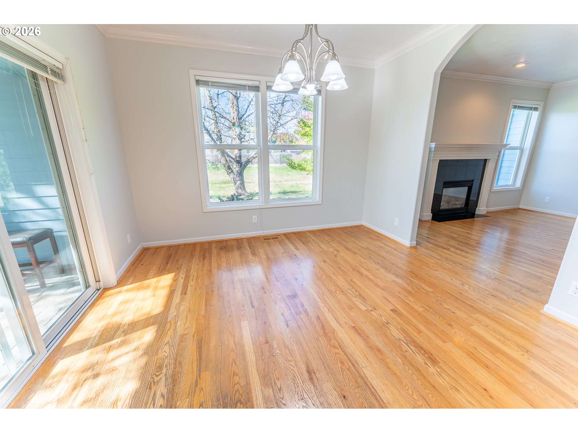 1153 Spruce St Property Photo 14