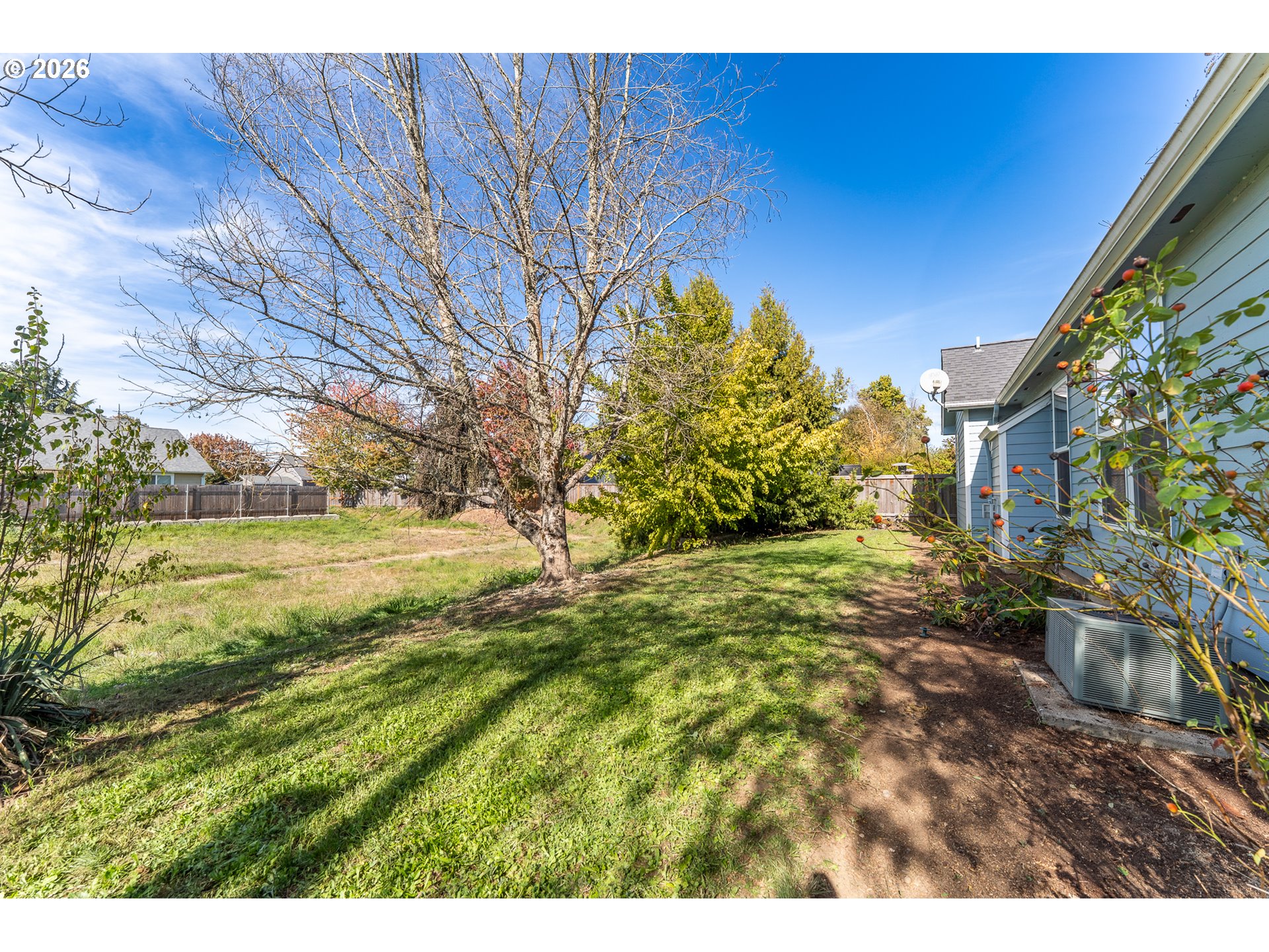 1153 Spruce St Property Photo 34