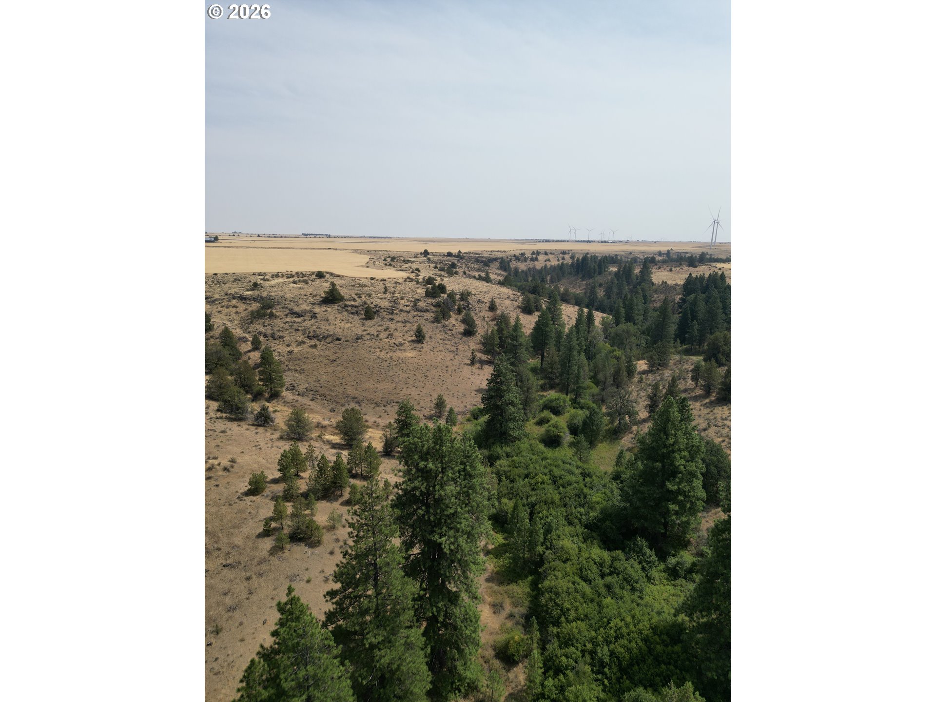 Xx Middle Rd. Property Photo 13