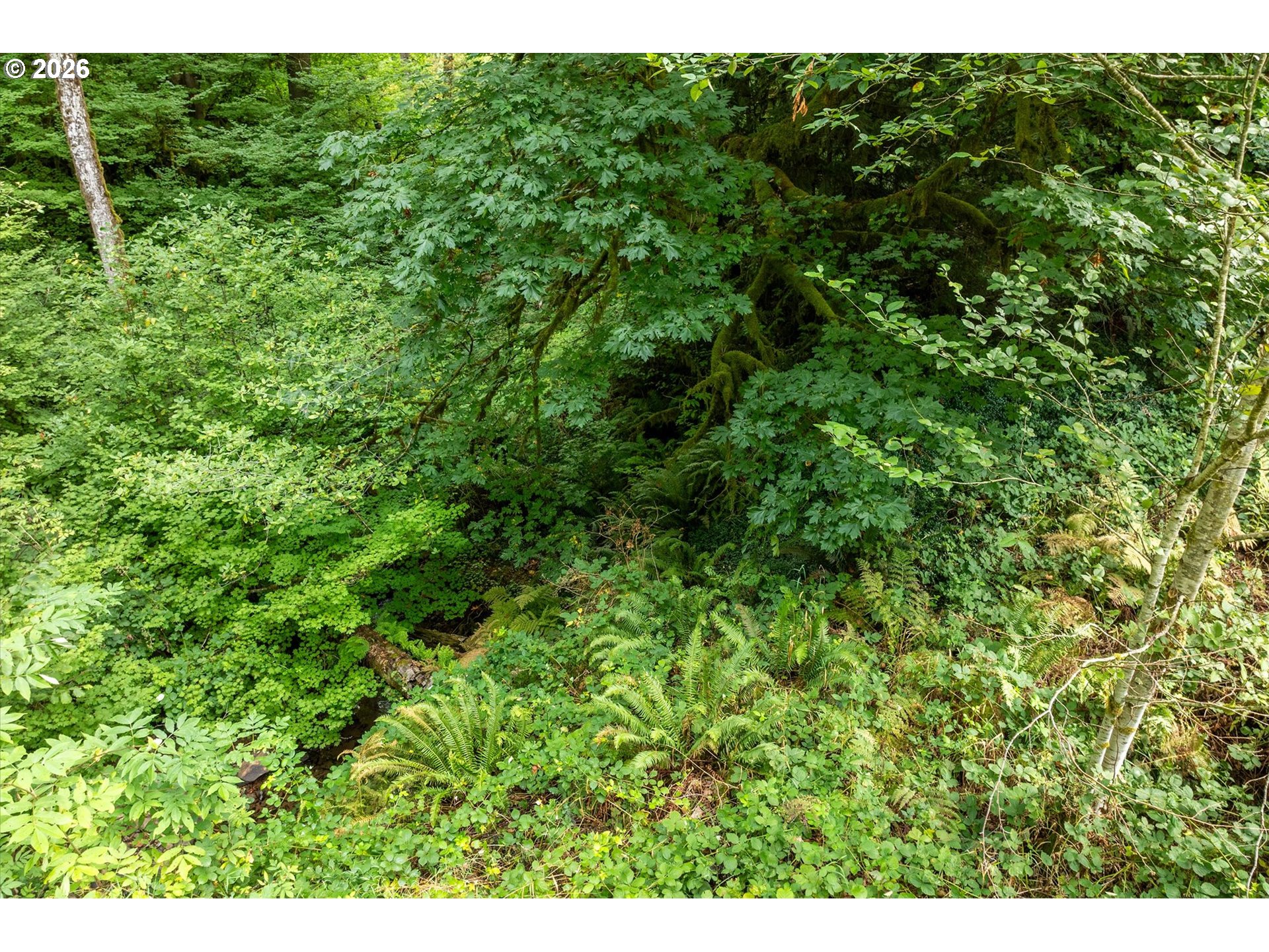 0 Eufaula Heights Rd Property Photo 14
