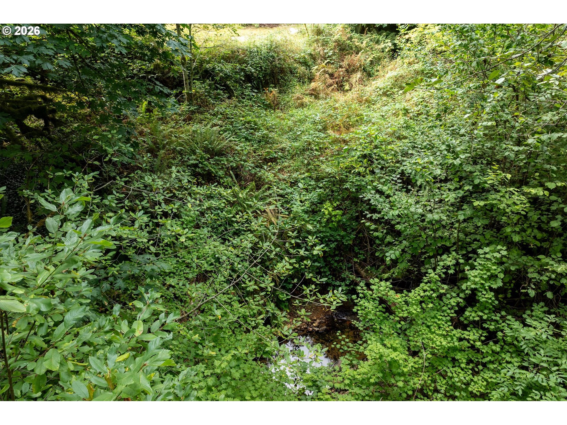 0 Eufaula Heights Rd Property Photo 15