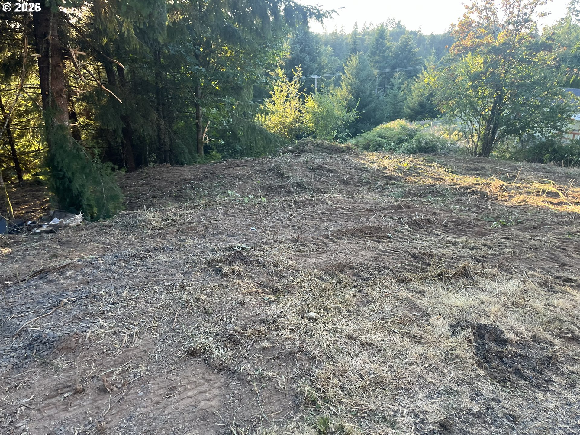 0 NE Jabez ST Property Photo 1