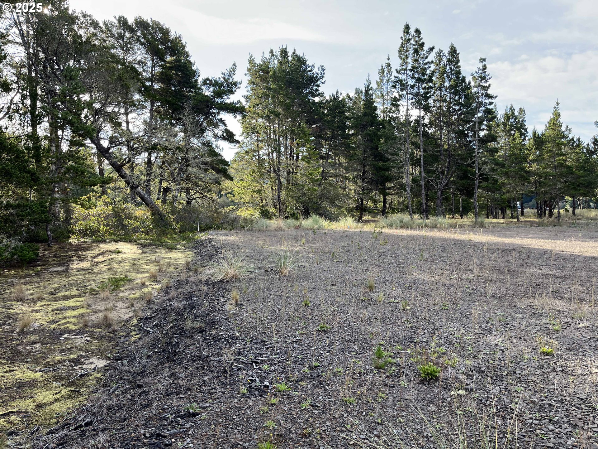 Nordahl Rd Property Photo 14