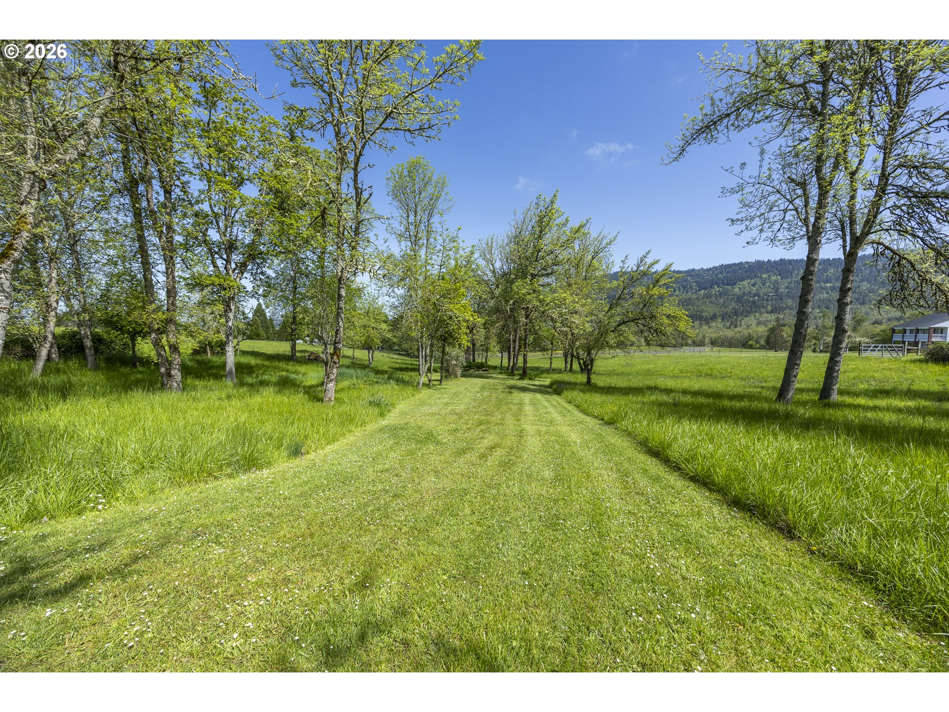 33685 Van Duyn Rd Property Photo 41