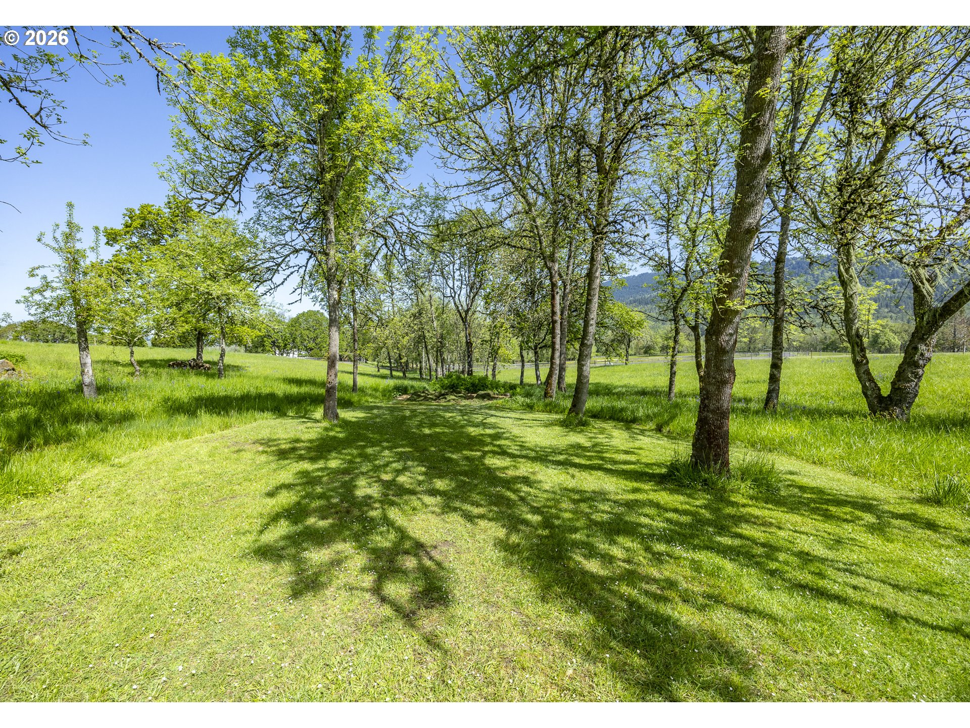 33685 Van Duyn Rd Property Photo 42