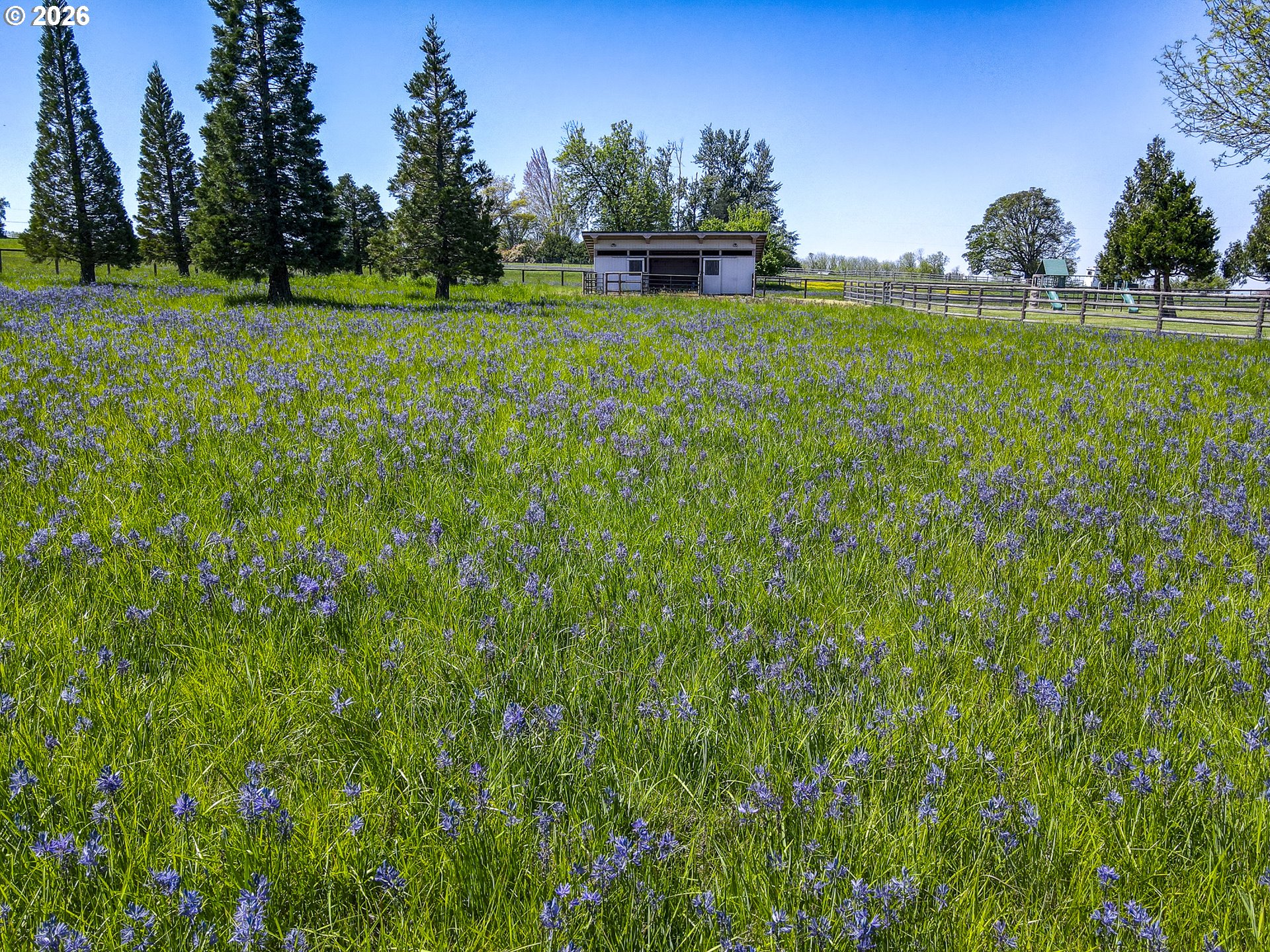 33685 Van Duyn Rd Property Photo 46