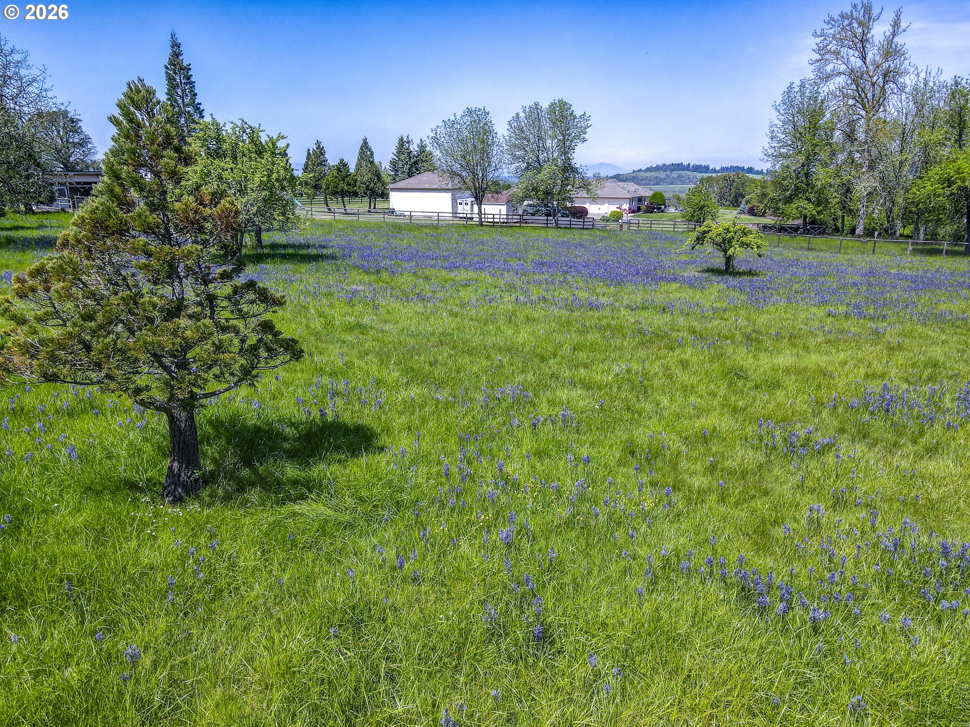 33685 Van Duyn Rd Property Photo 47