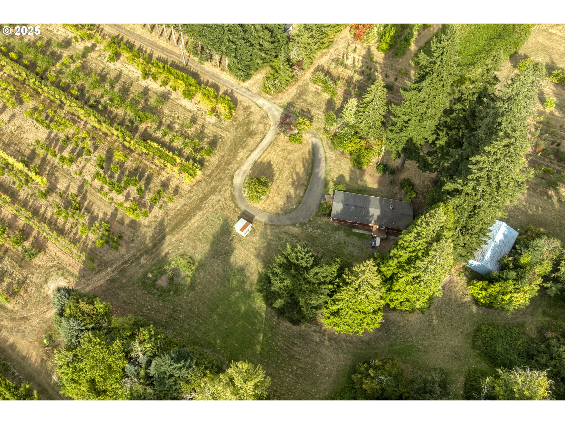 29630 Se Wheeler Rd Property Photo 17