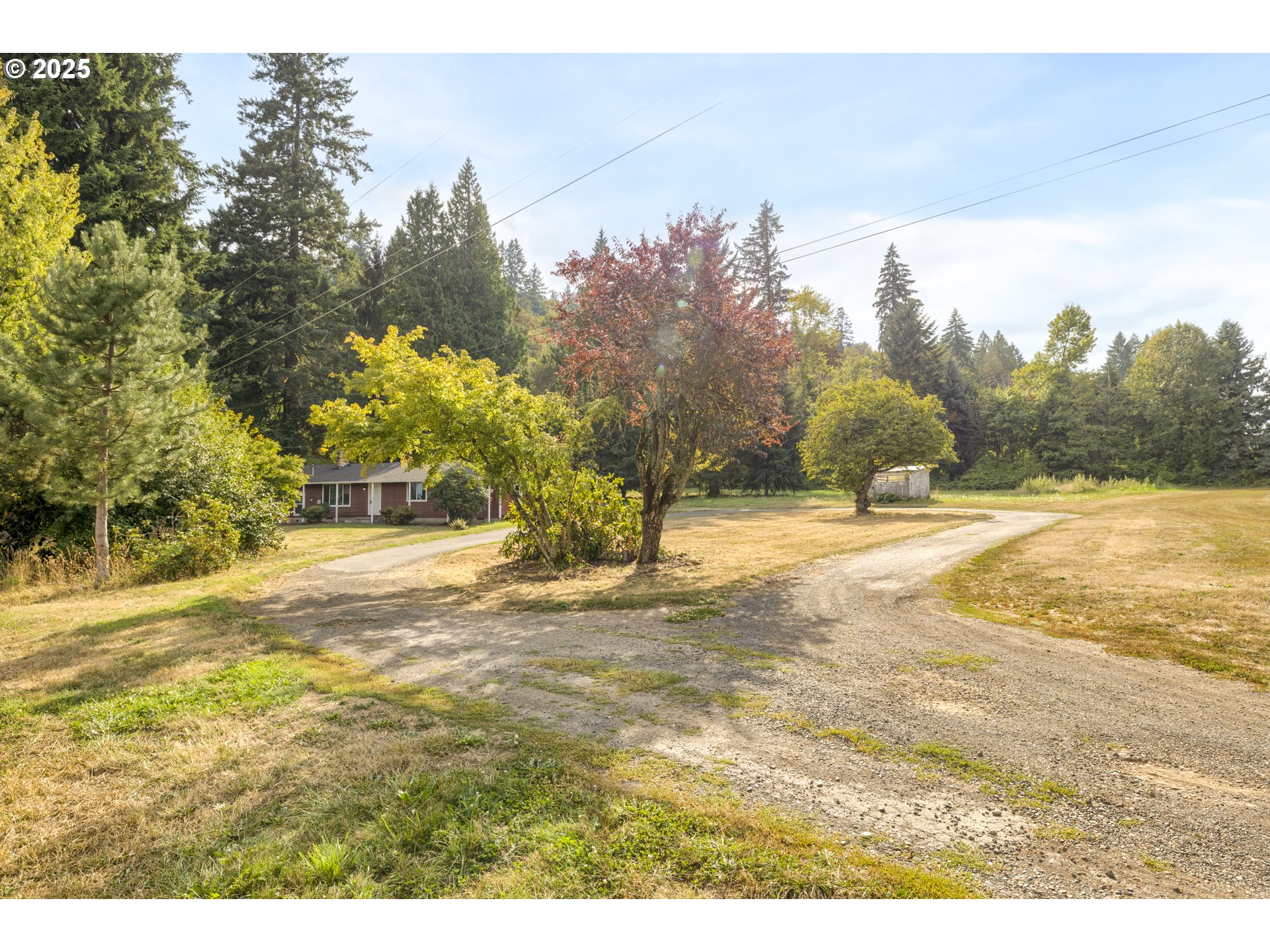 29630 Se Wheeler Rd Property Photo 28