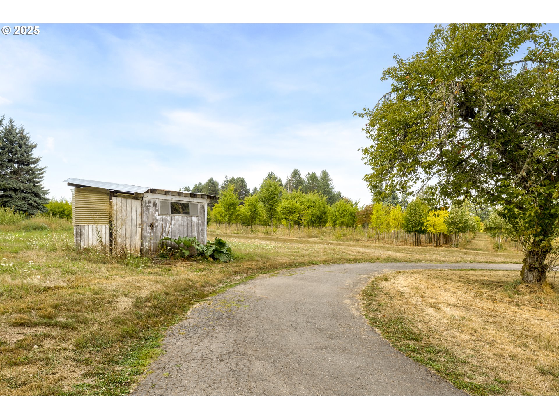 29630 Se Wheeler Rd Property Photo 32