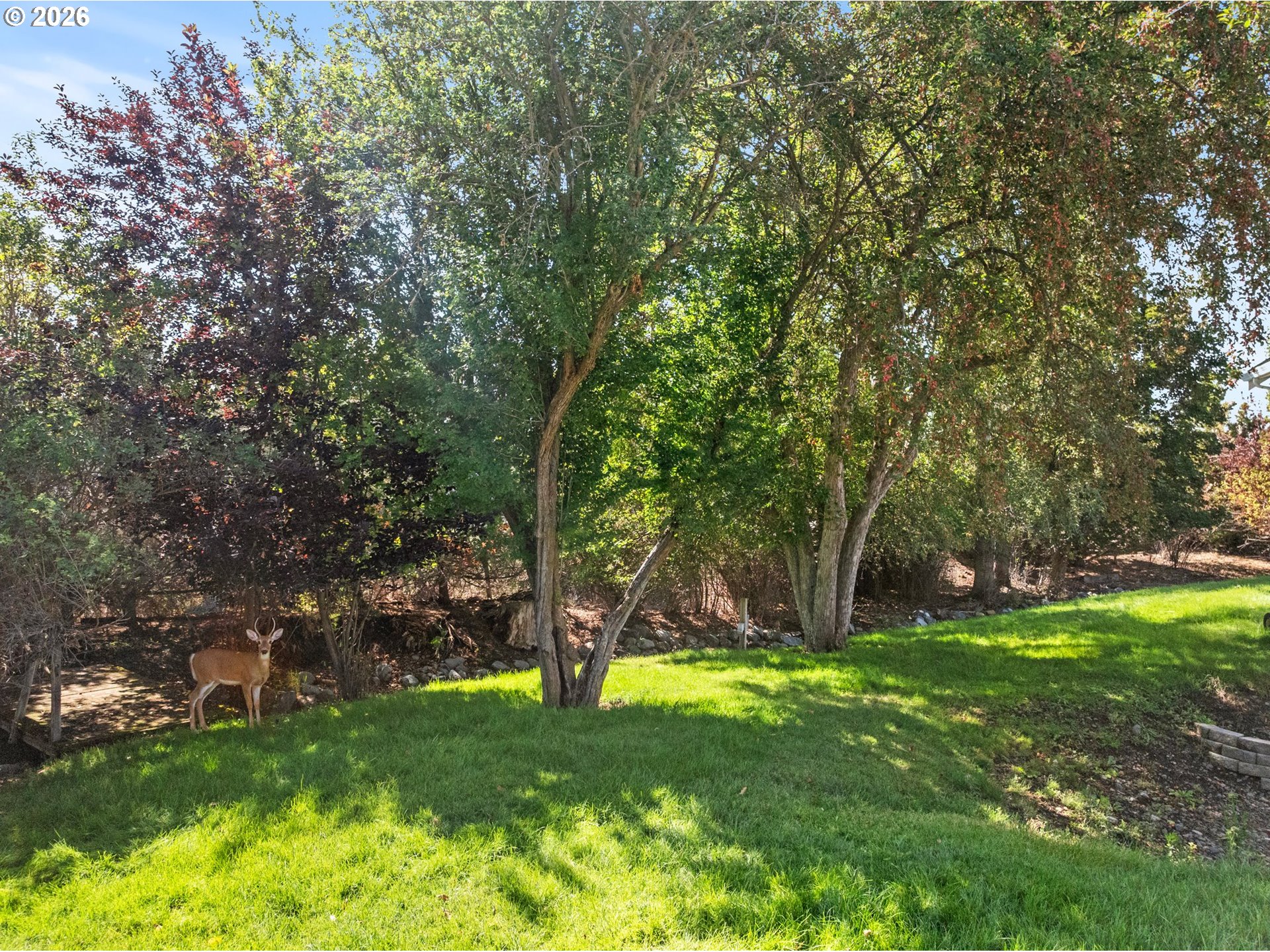 204 Residence St Property Photo 9