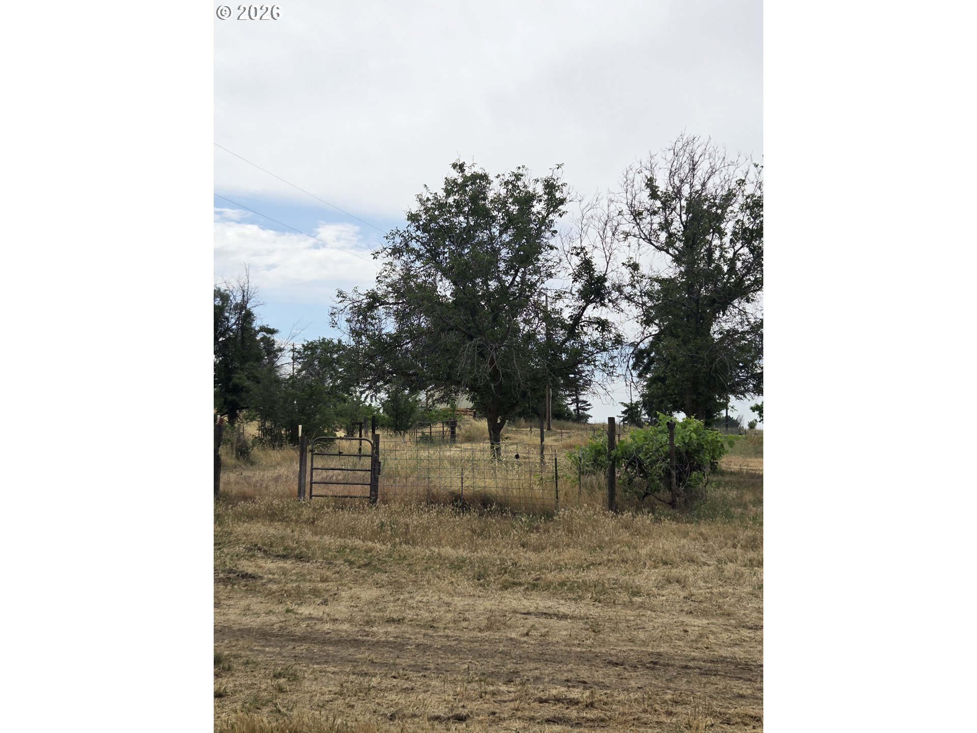 78936 Shoemake Rd Property Photo 1