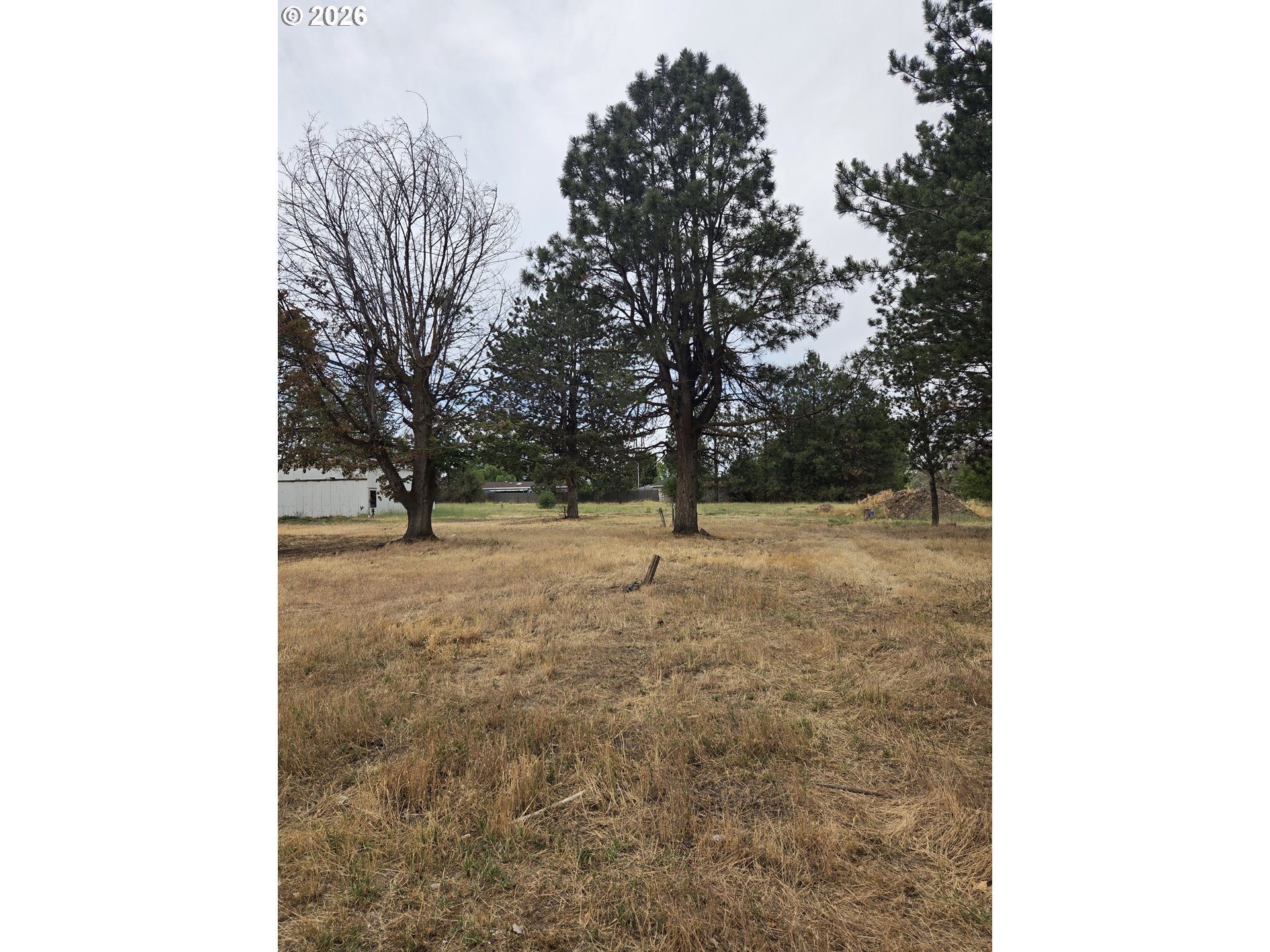 78936 Shoemake Rd Property Photo 6
