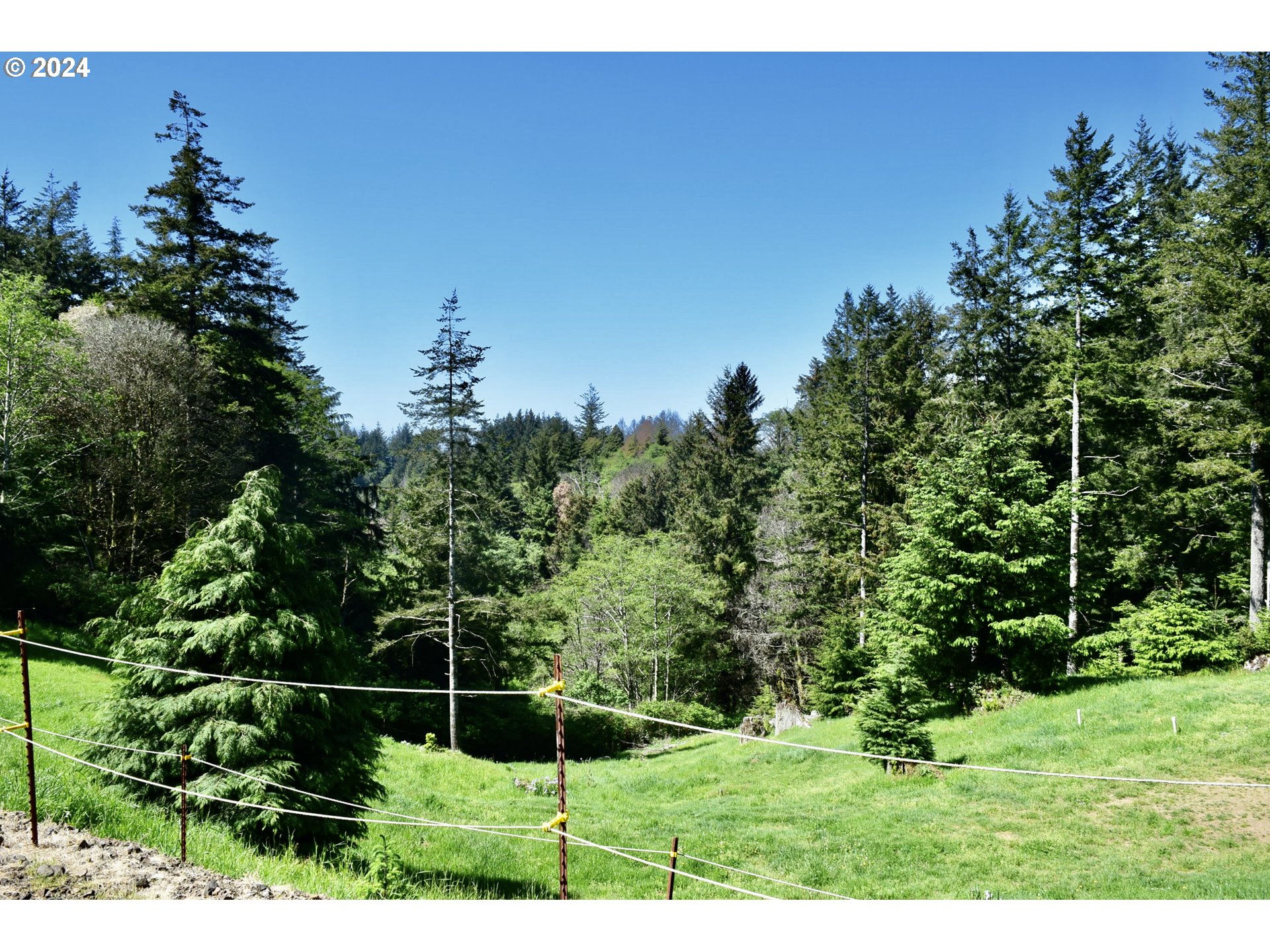 27286 Eighty Acres Rd Property Photo 8